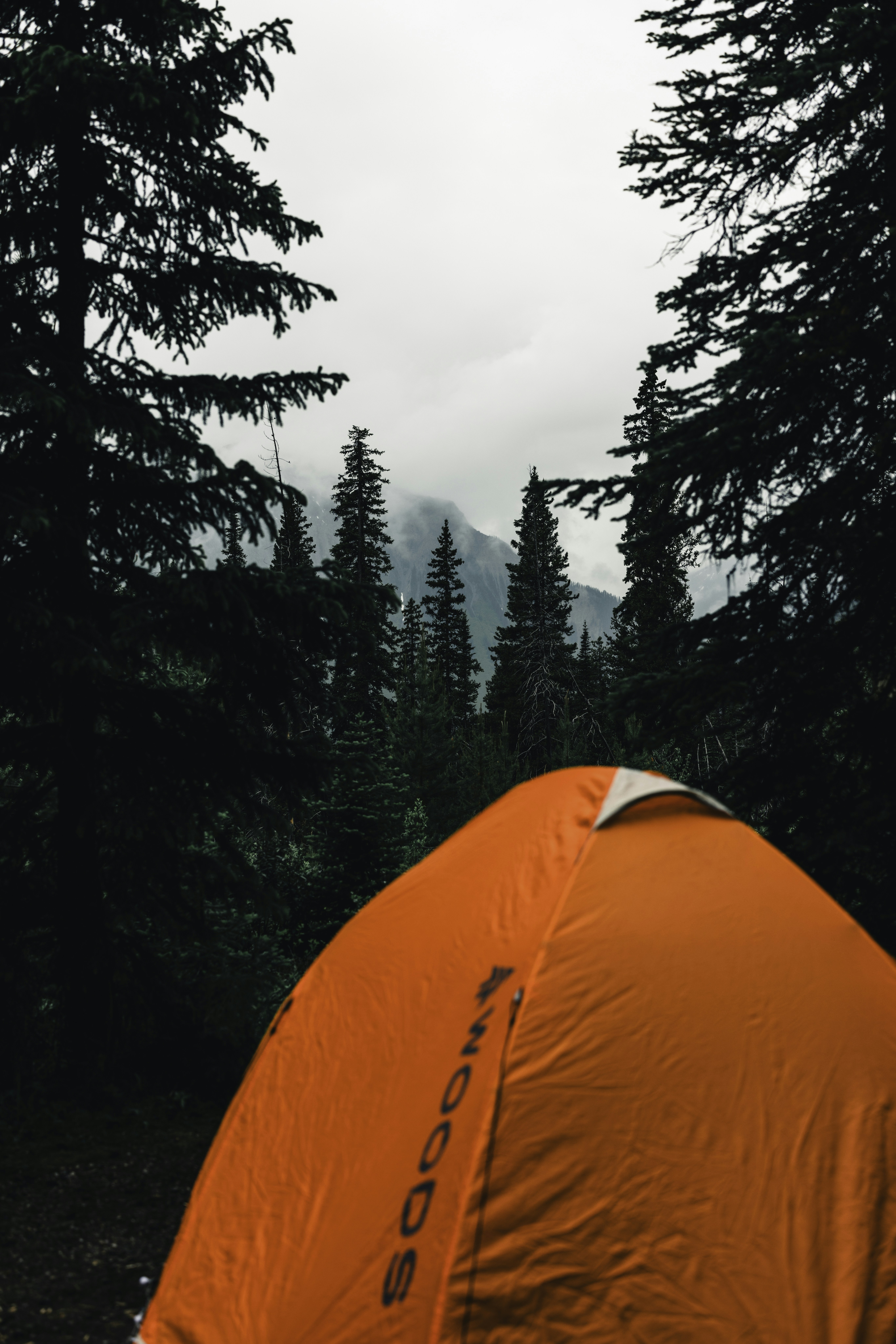 Photo by lureofadventure