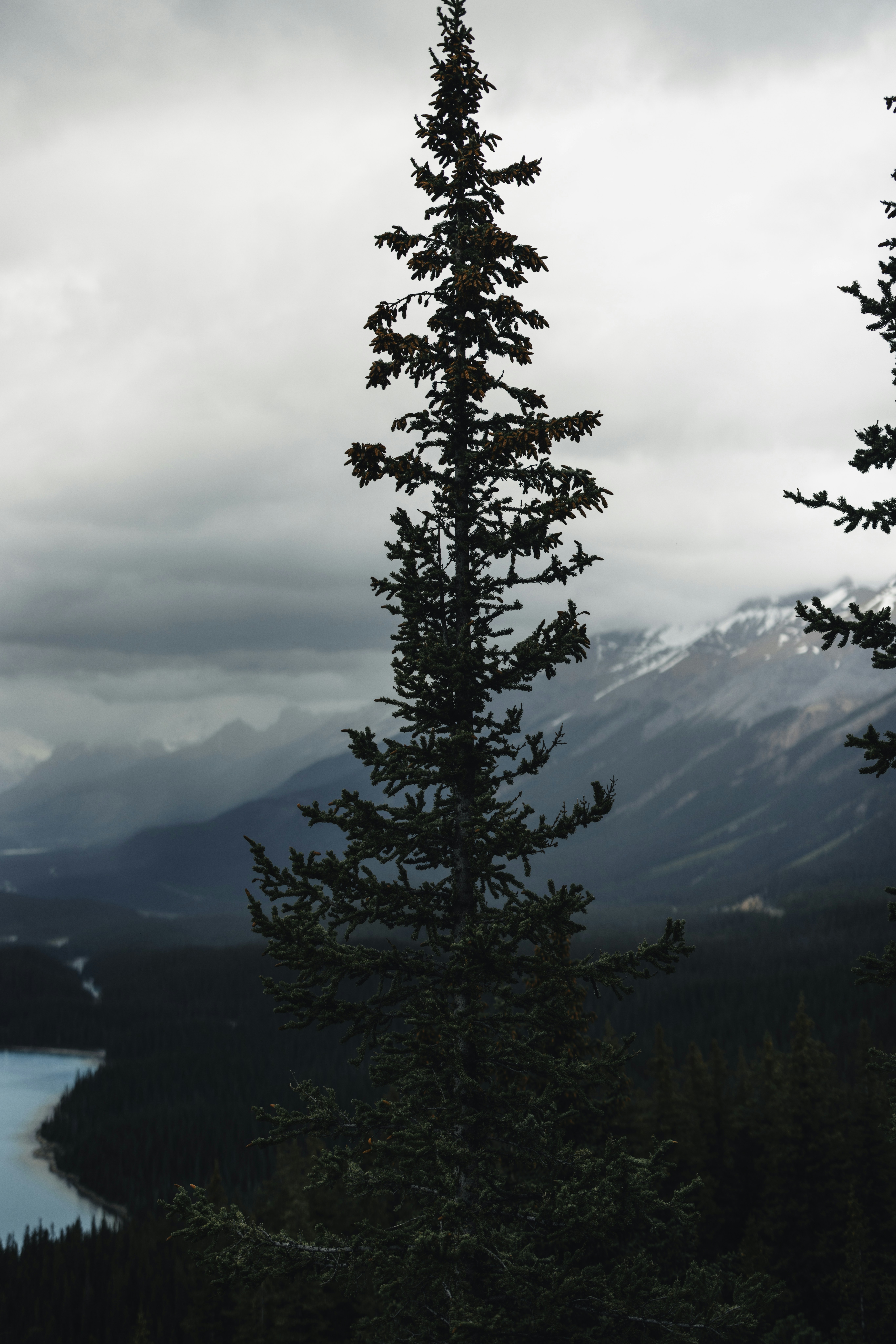 Photo by lureofadventure