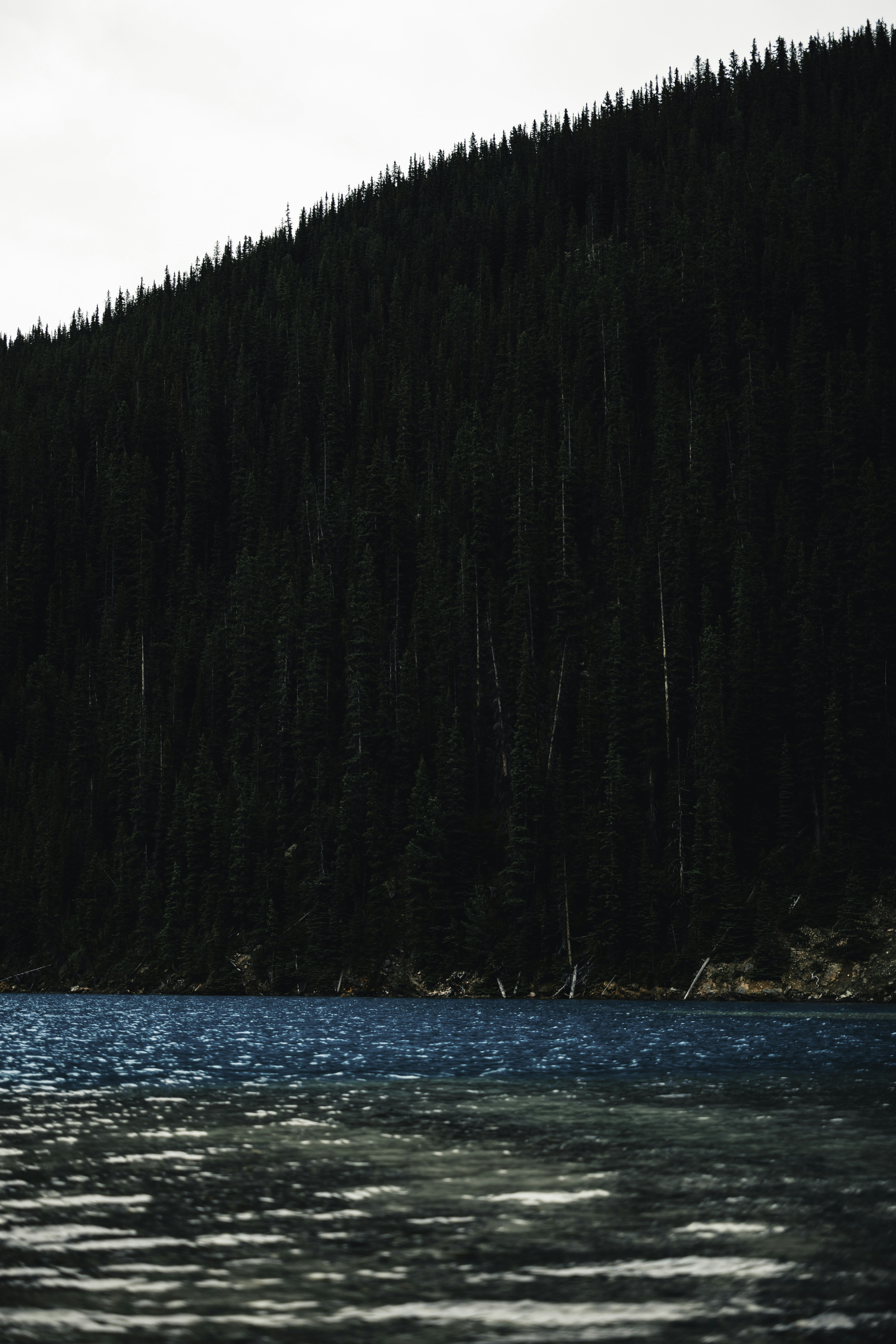 Photo by lureofadventure