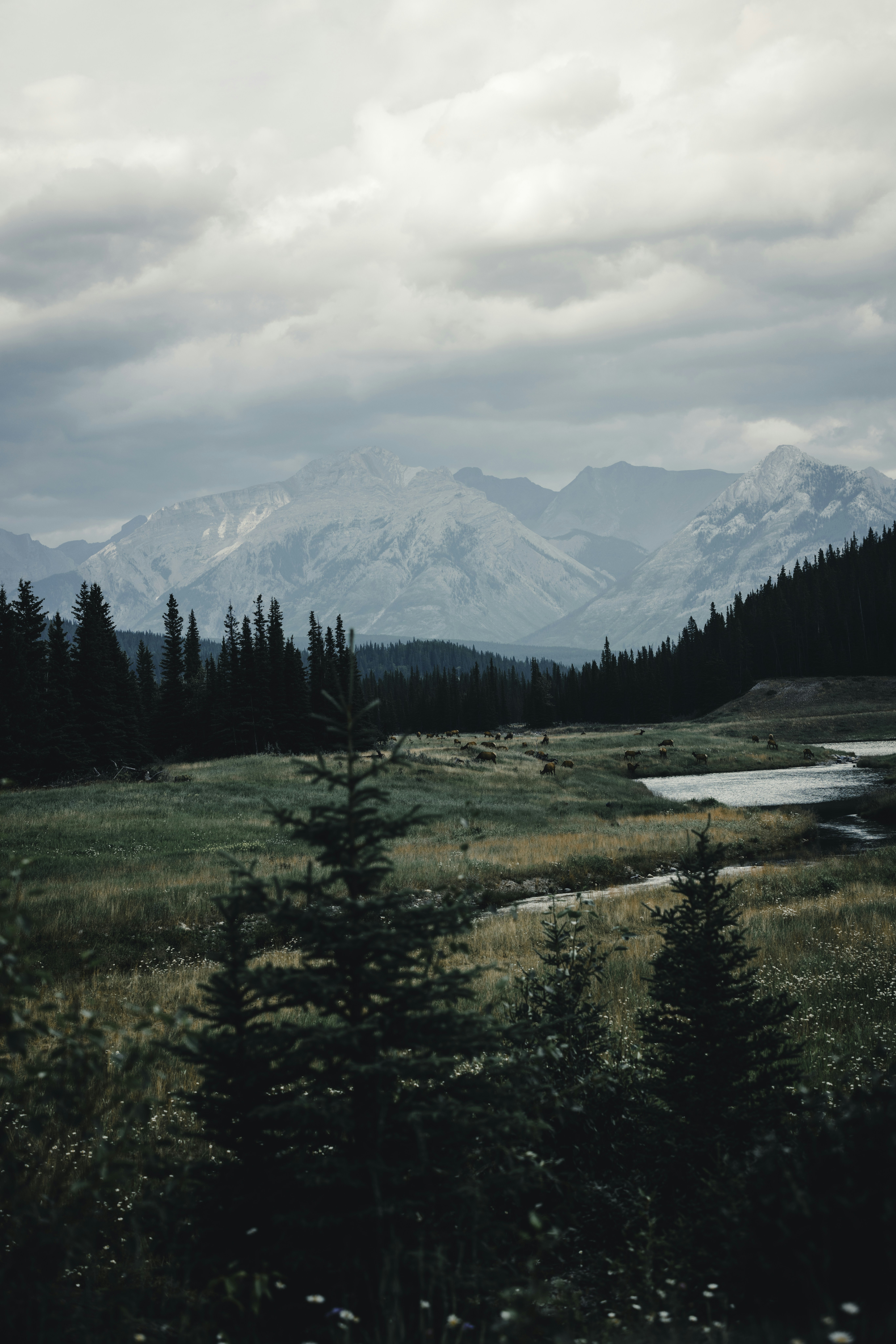 Photo by lureofadventure