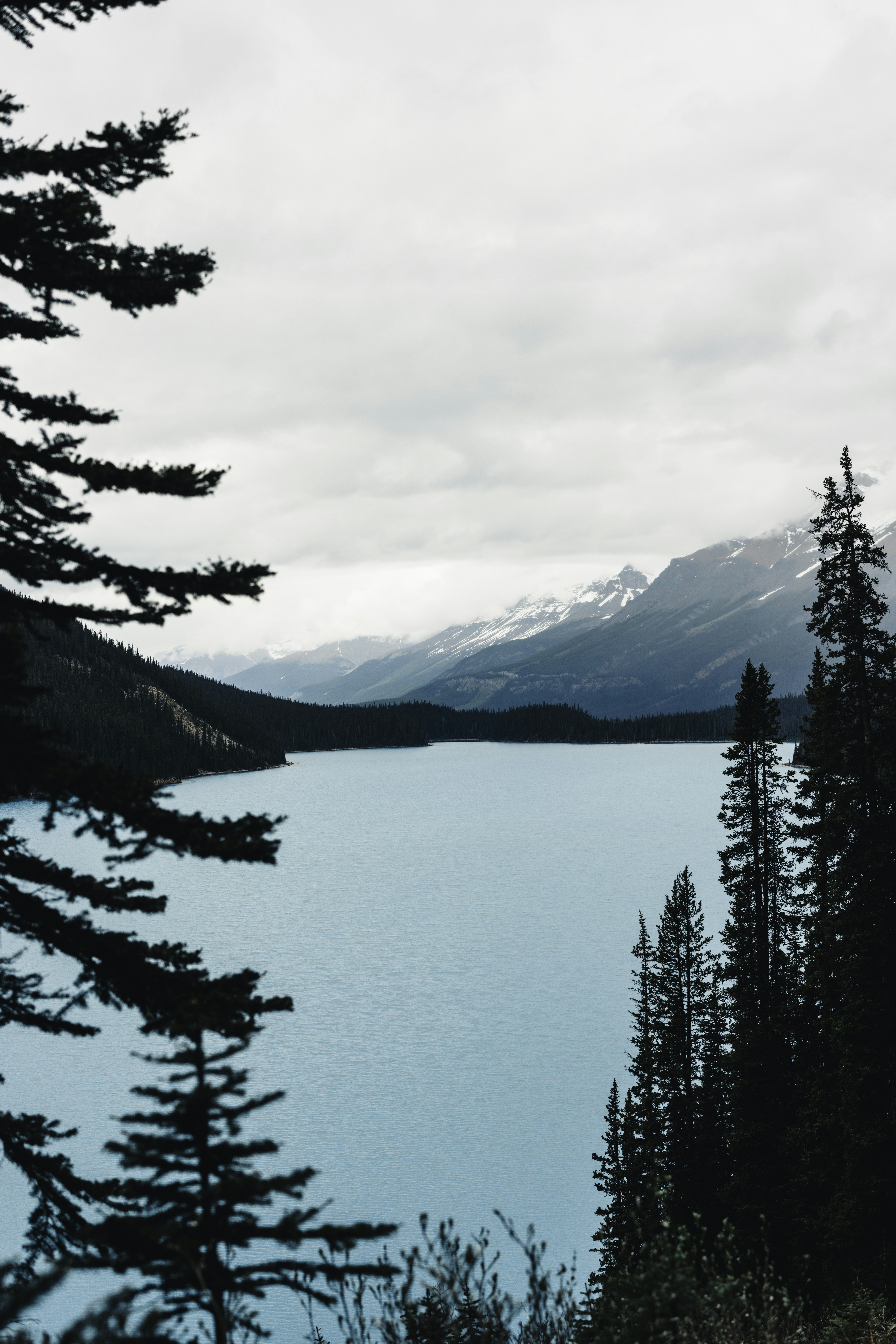 Photo by lureofadventure