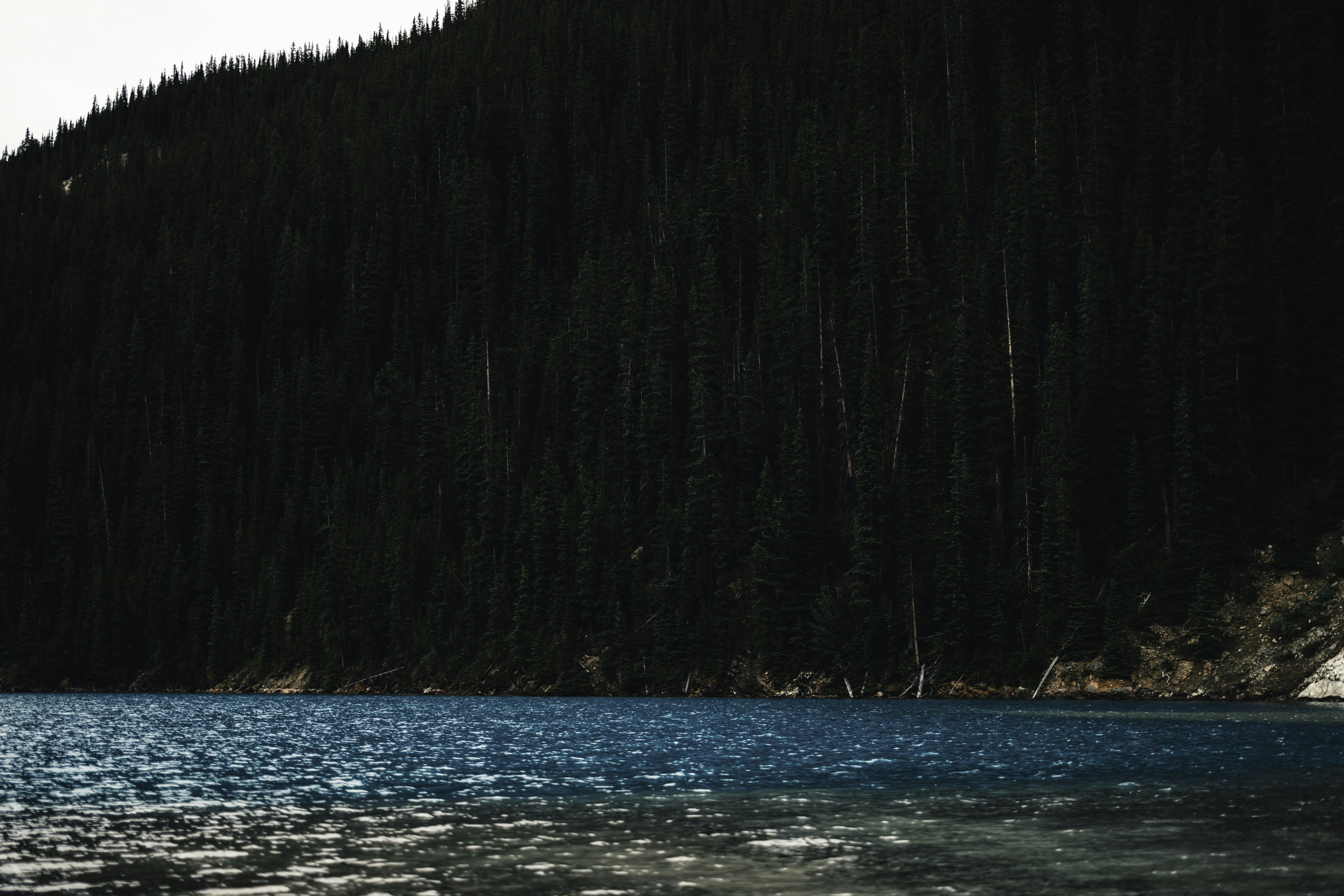 Photo by lureofadventure