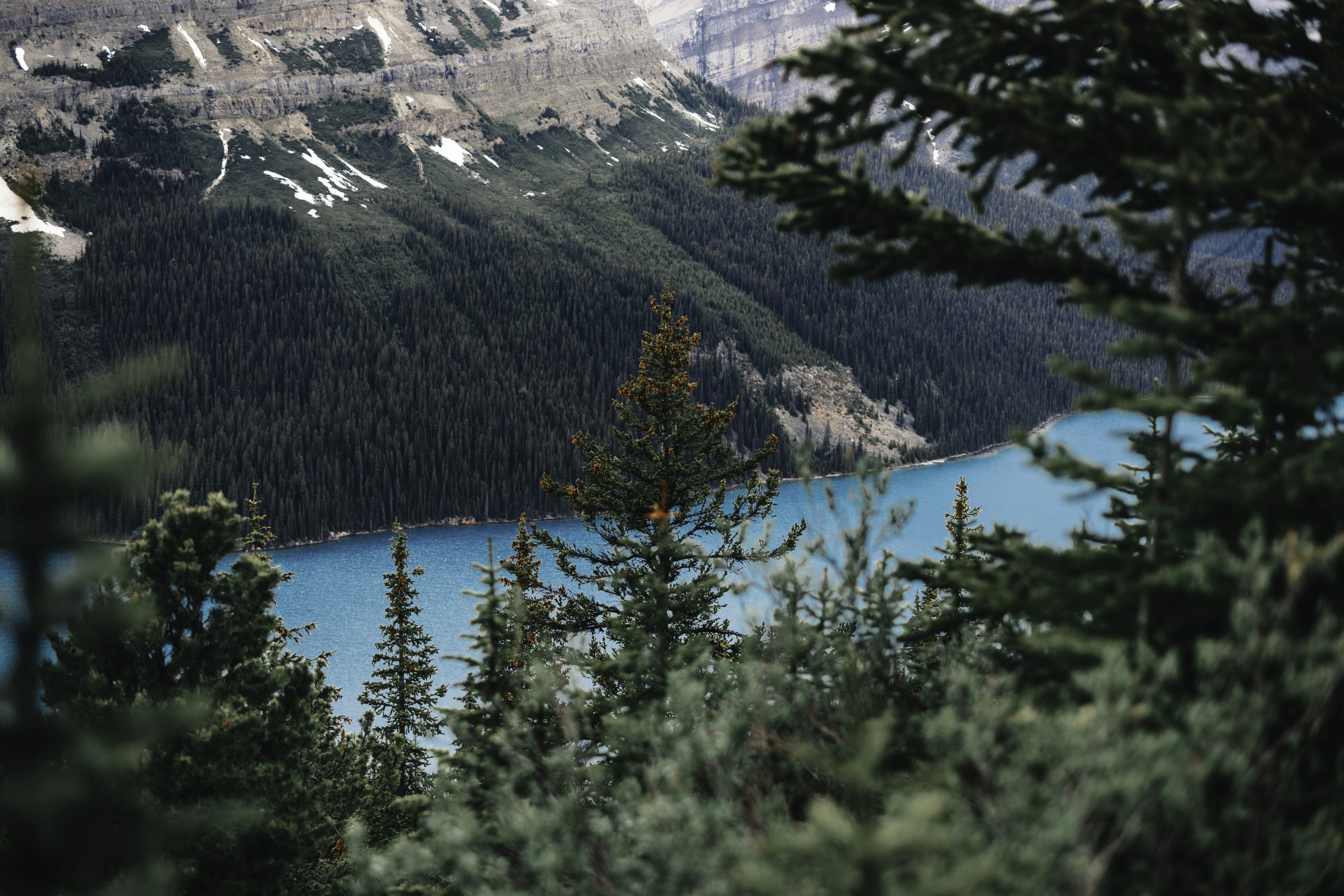 Photo by lureofadventure