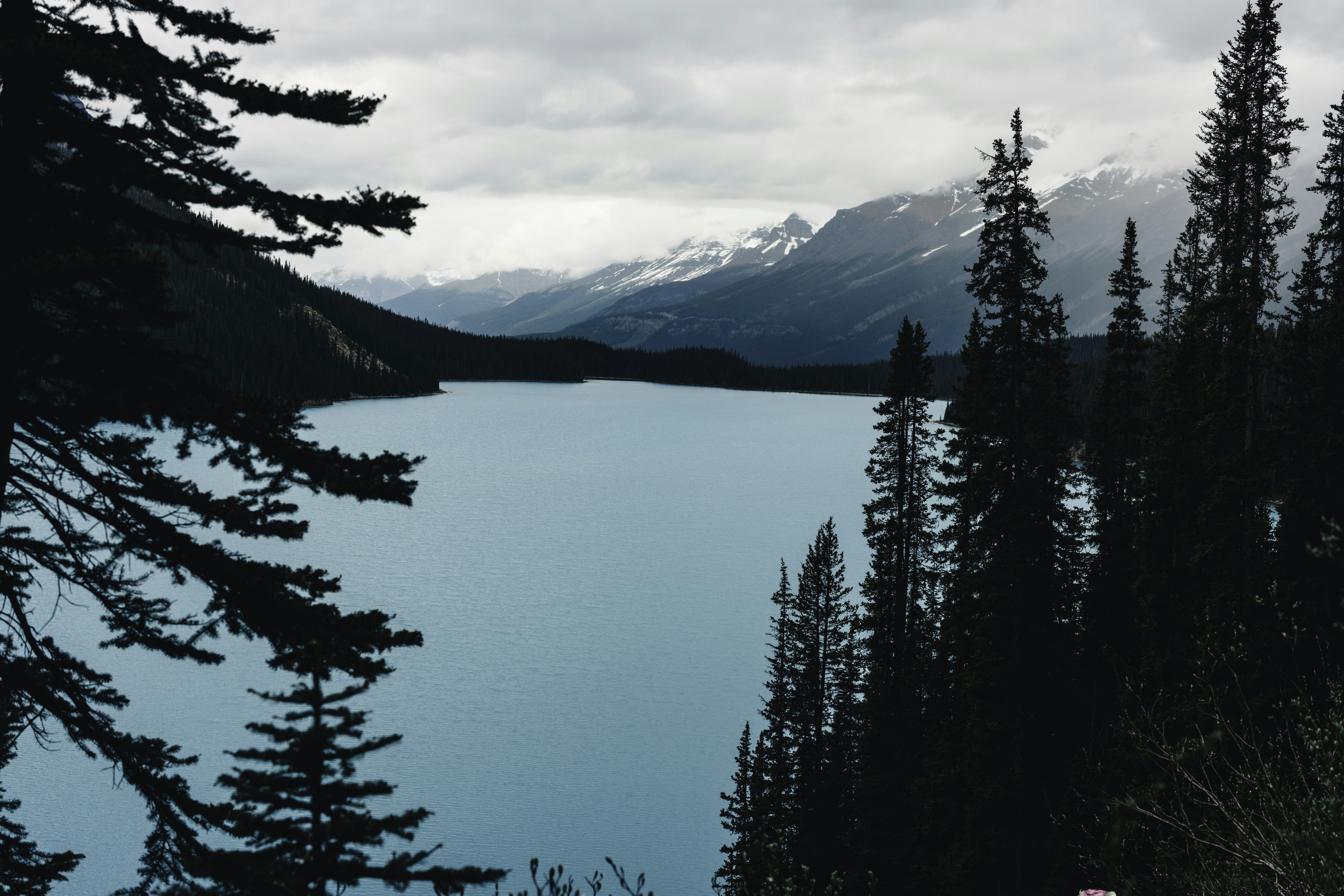 Photo by lureofadventure