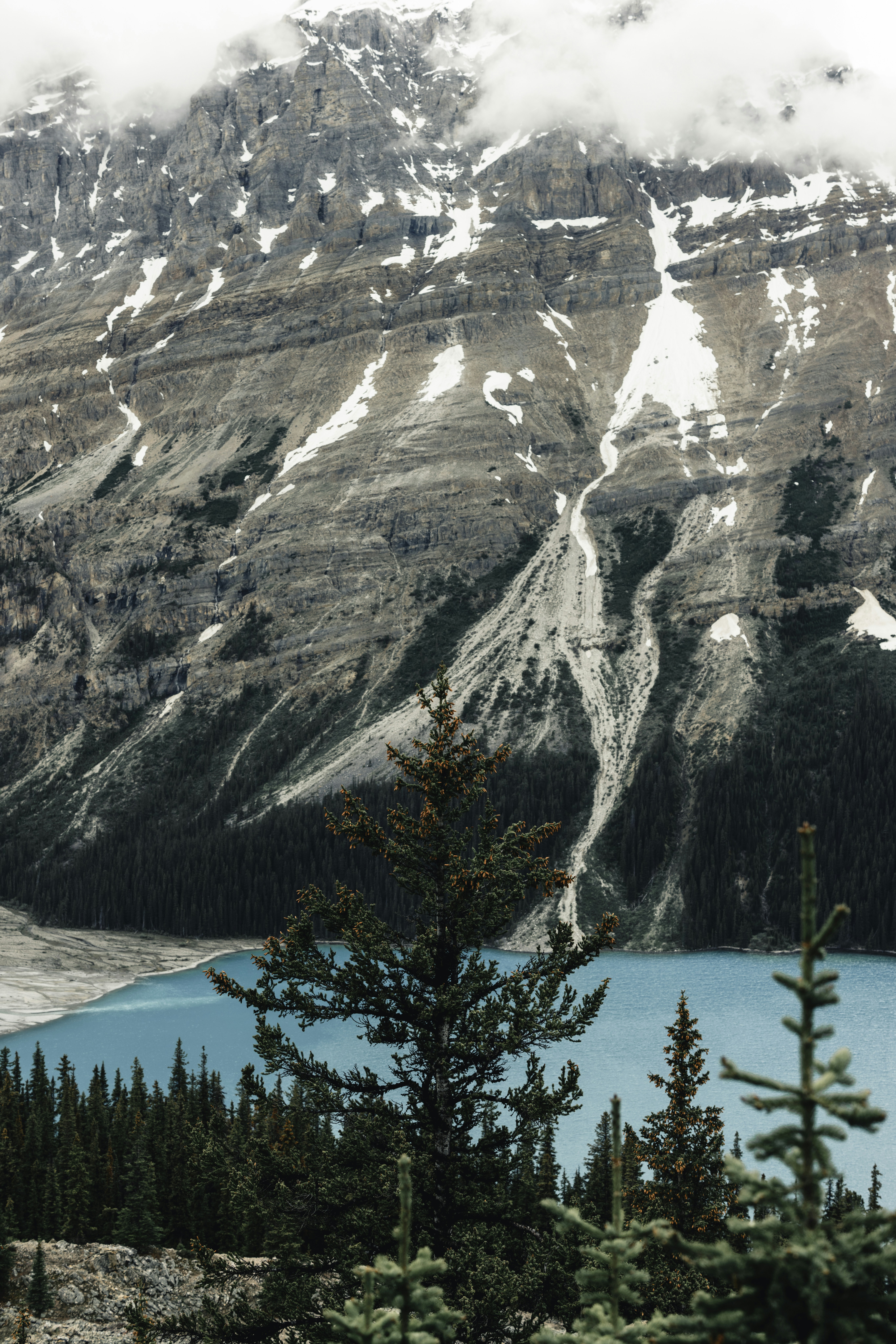 Photo by lureofadventure