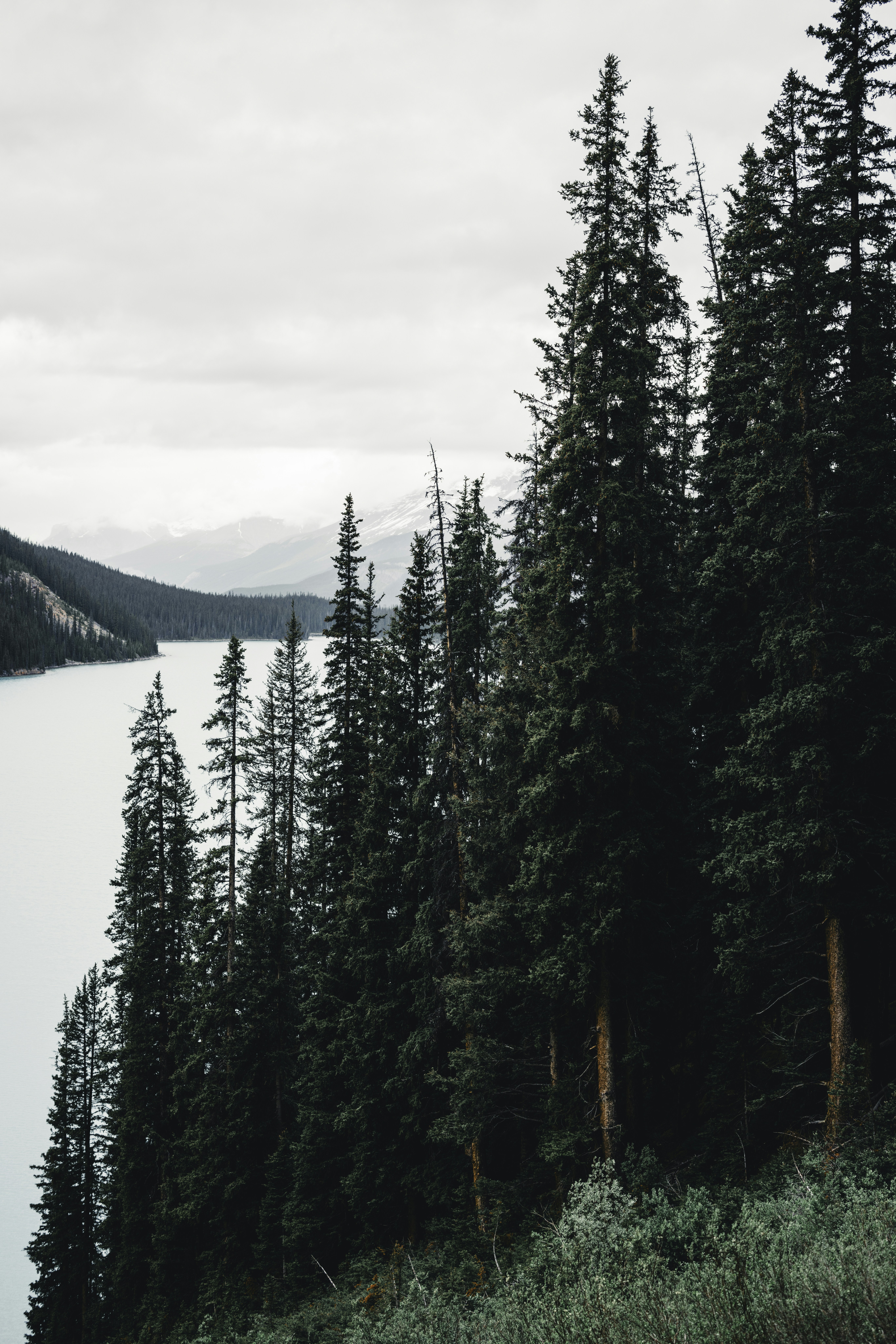 Photo by lureofadventure