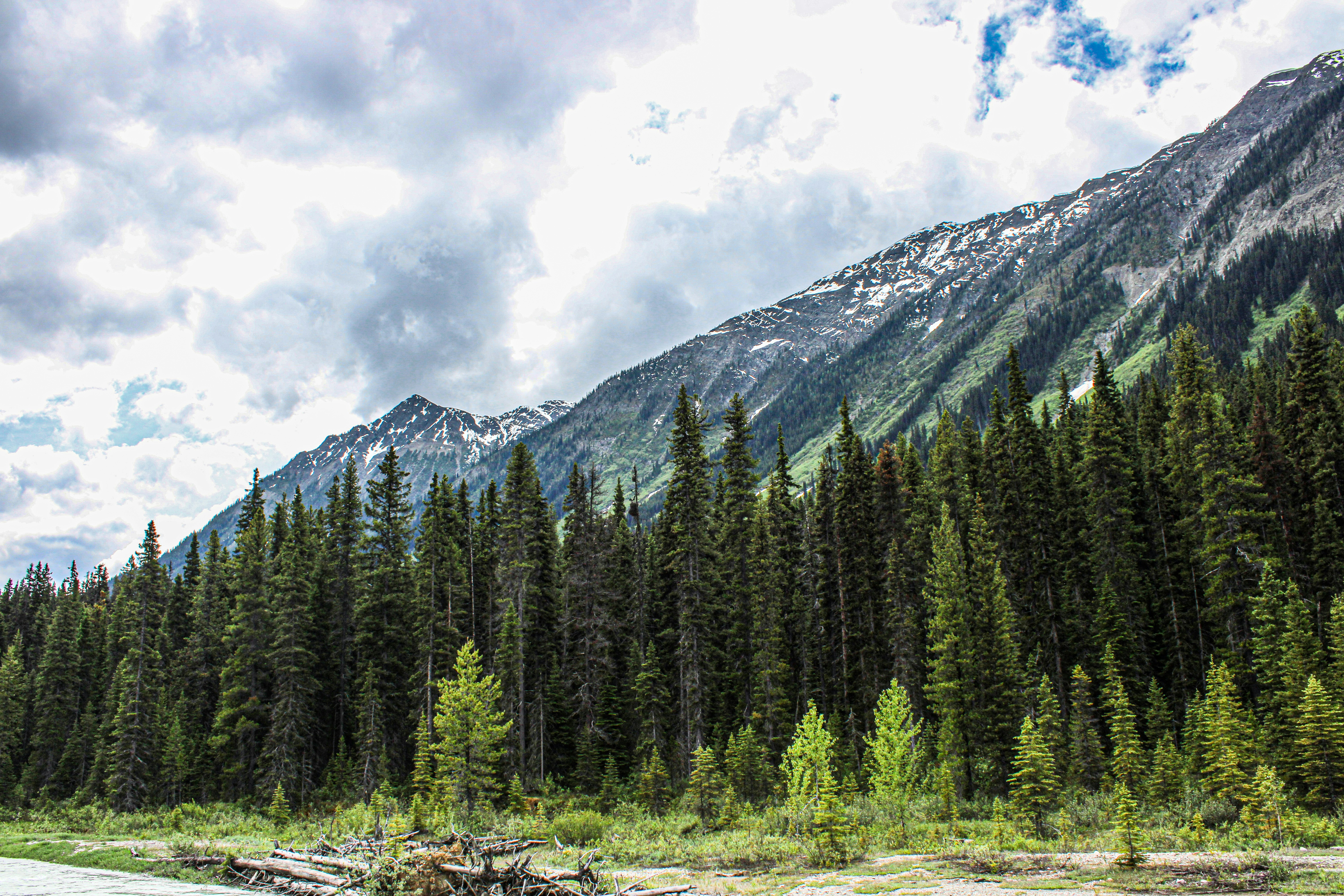 Photo by prphotography262