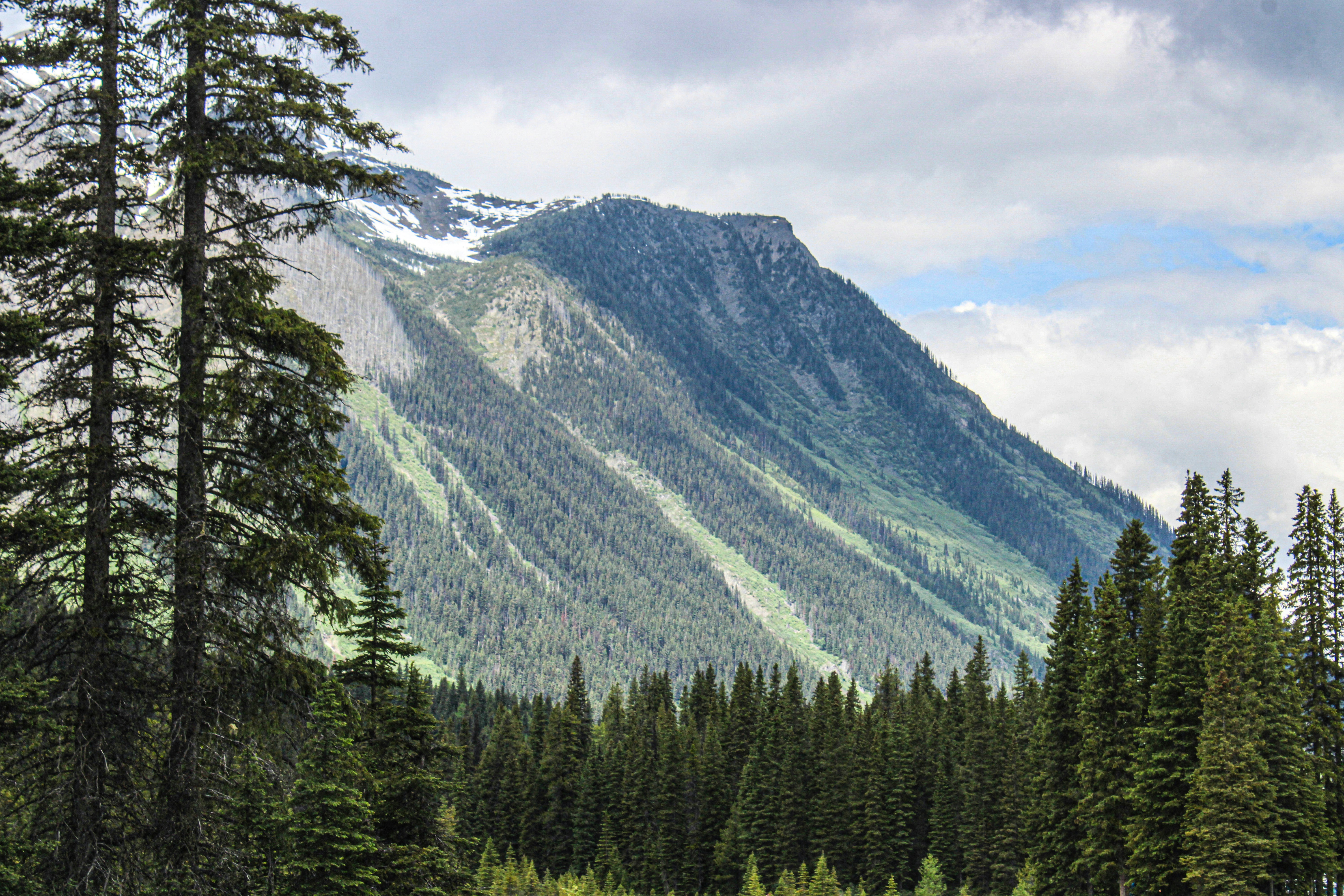 Photo by prphotography262