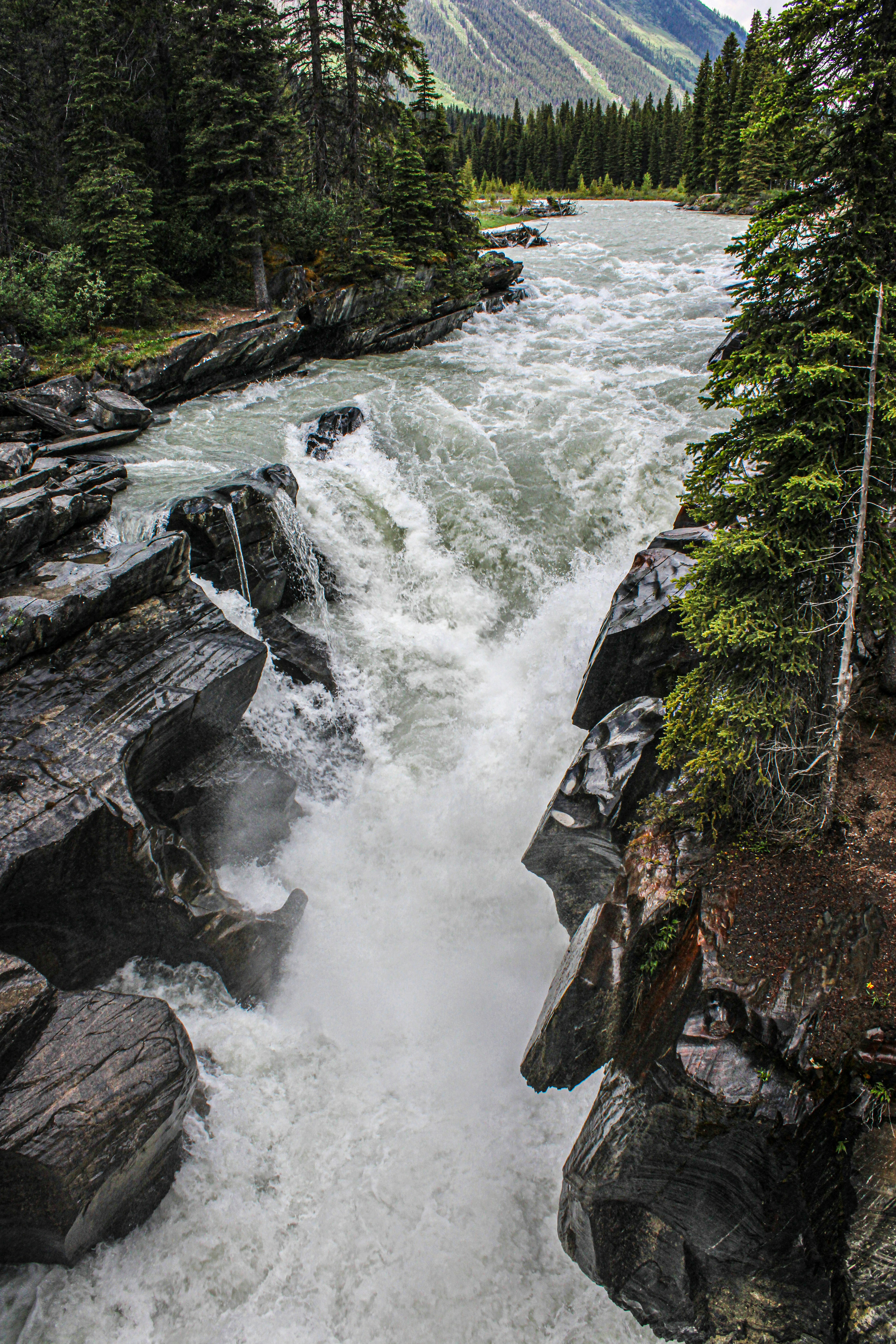 Photo by prphotography262