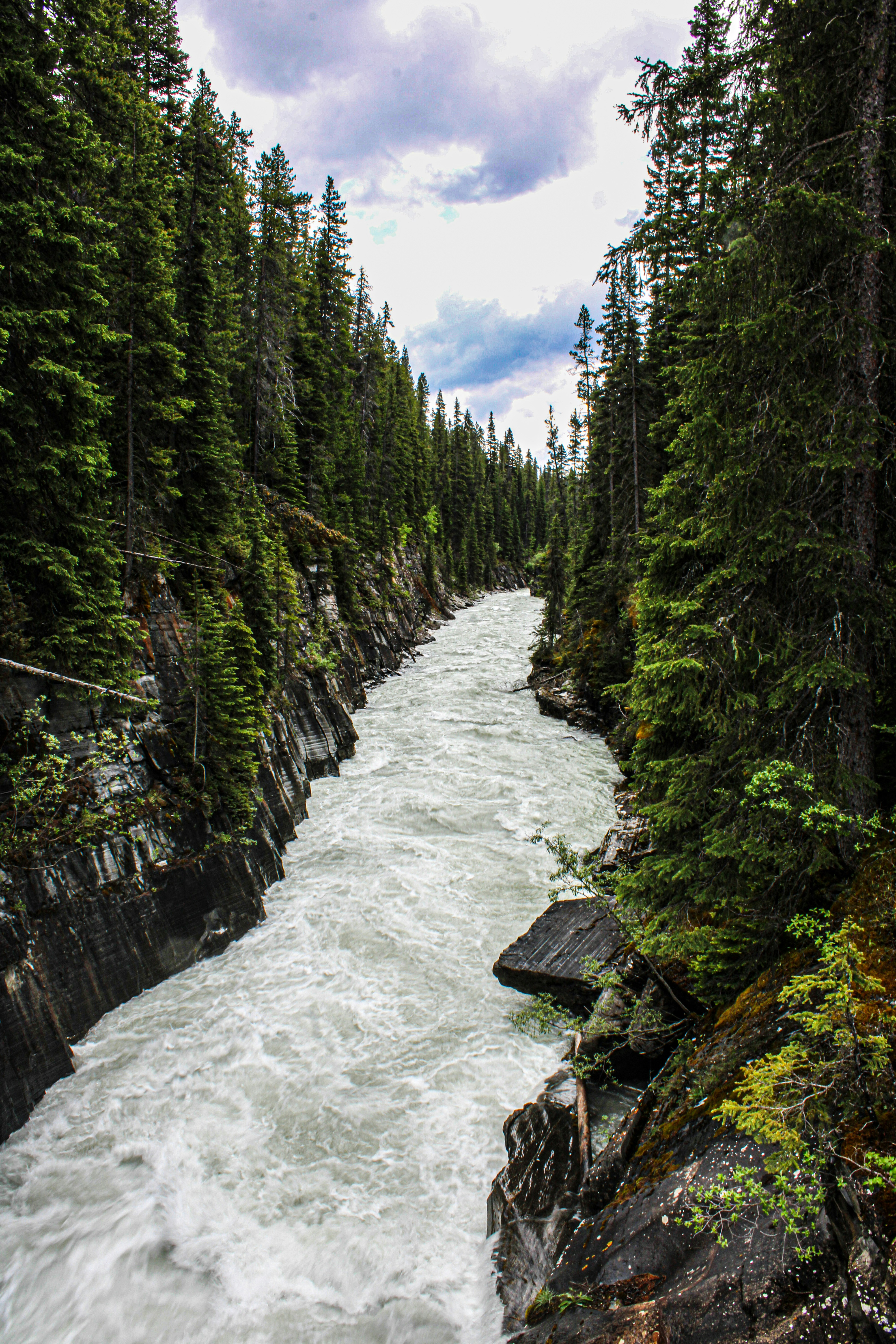 Photo by prphotography262