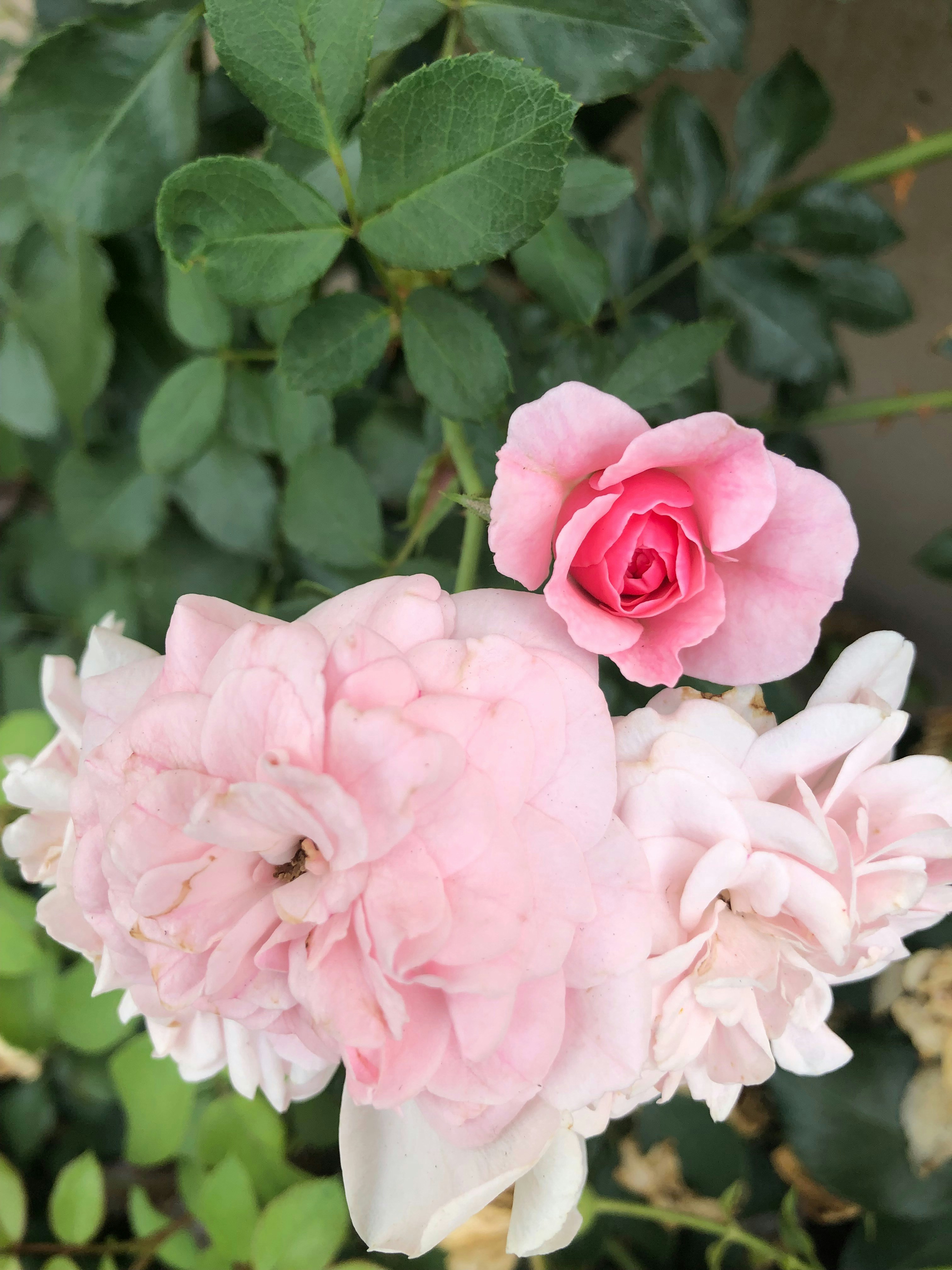 Photo by liberatetheimage