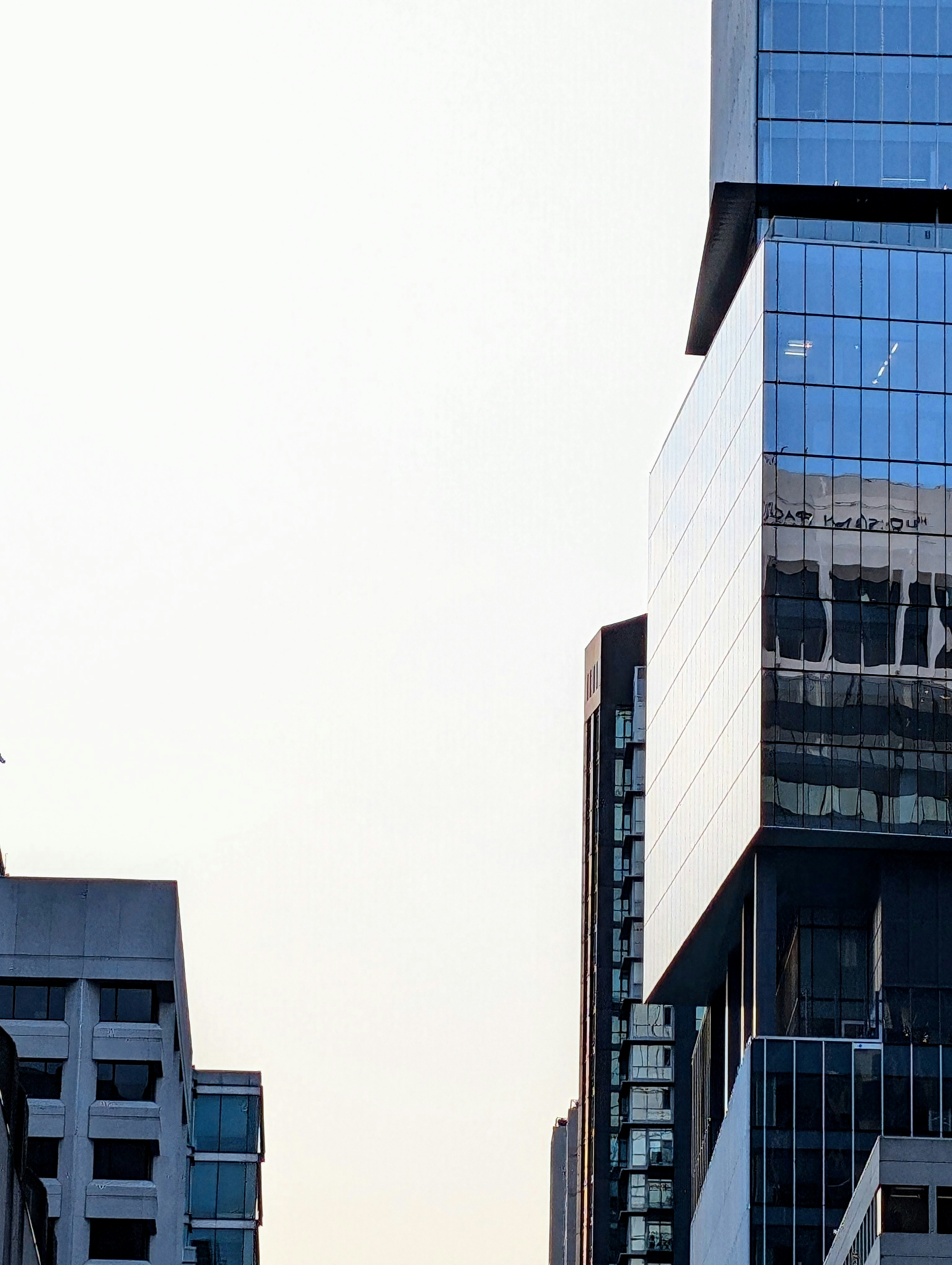 Photo by holychicken99