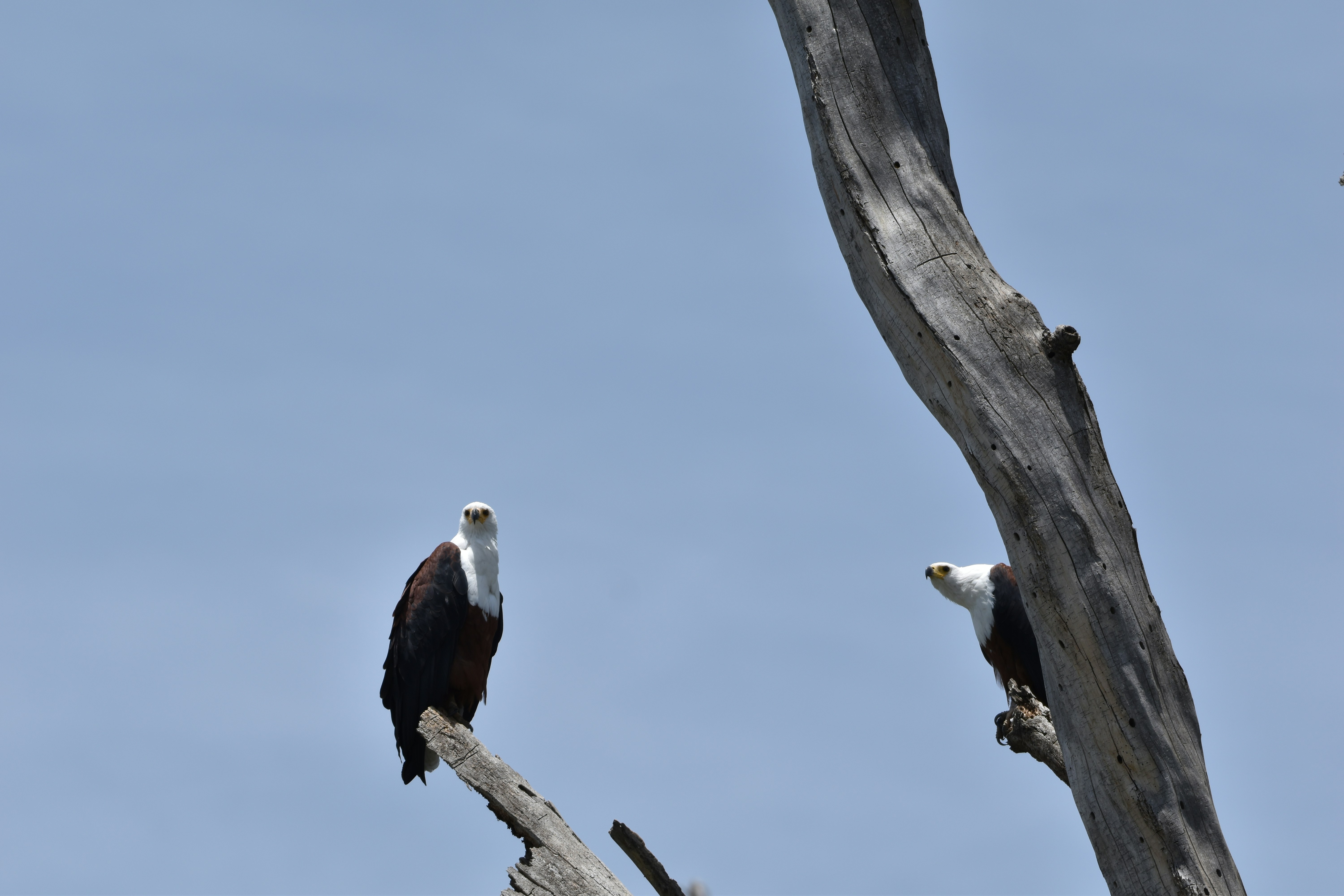 Photo by julius_ngigi