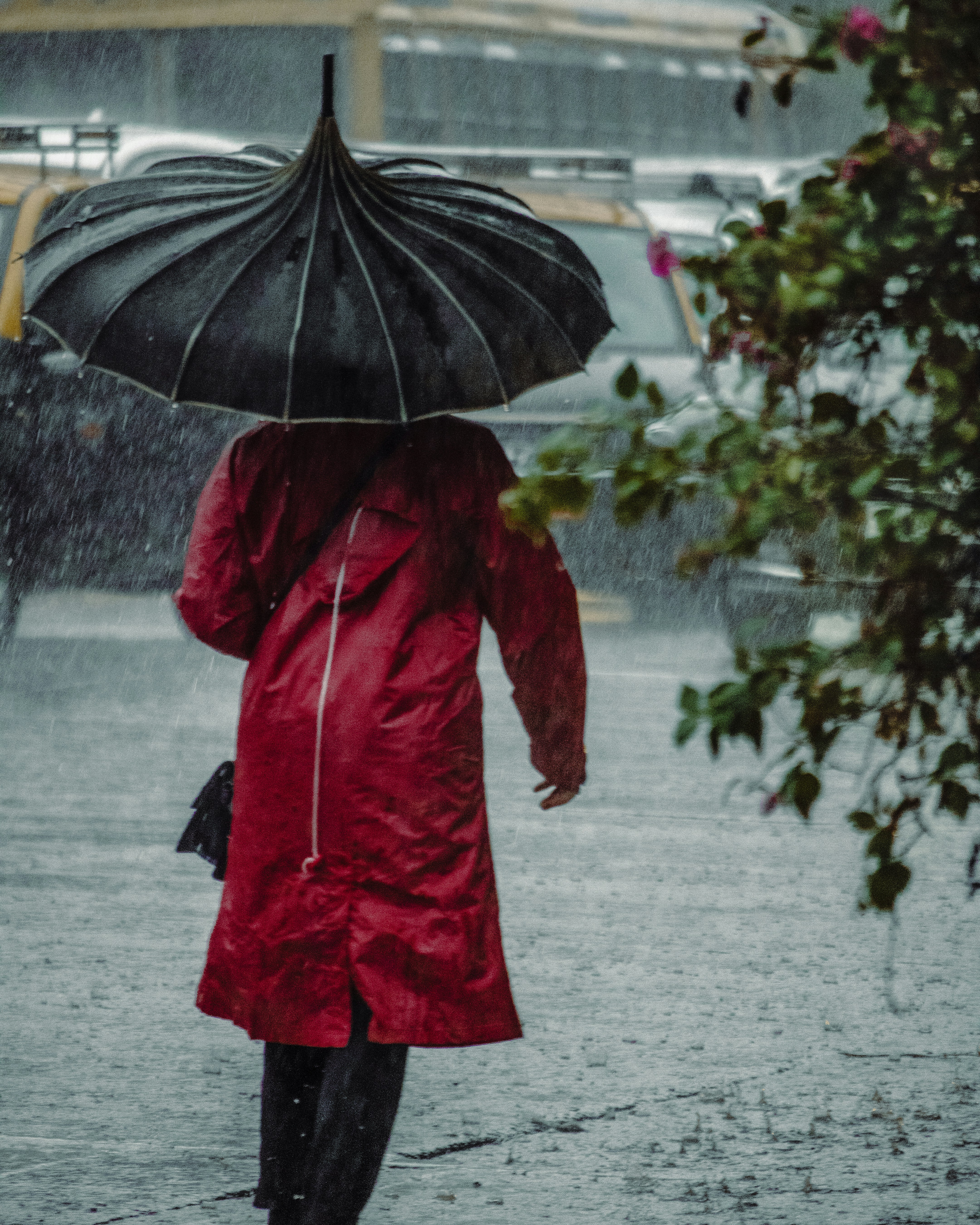 Photo by joshua_thomas19