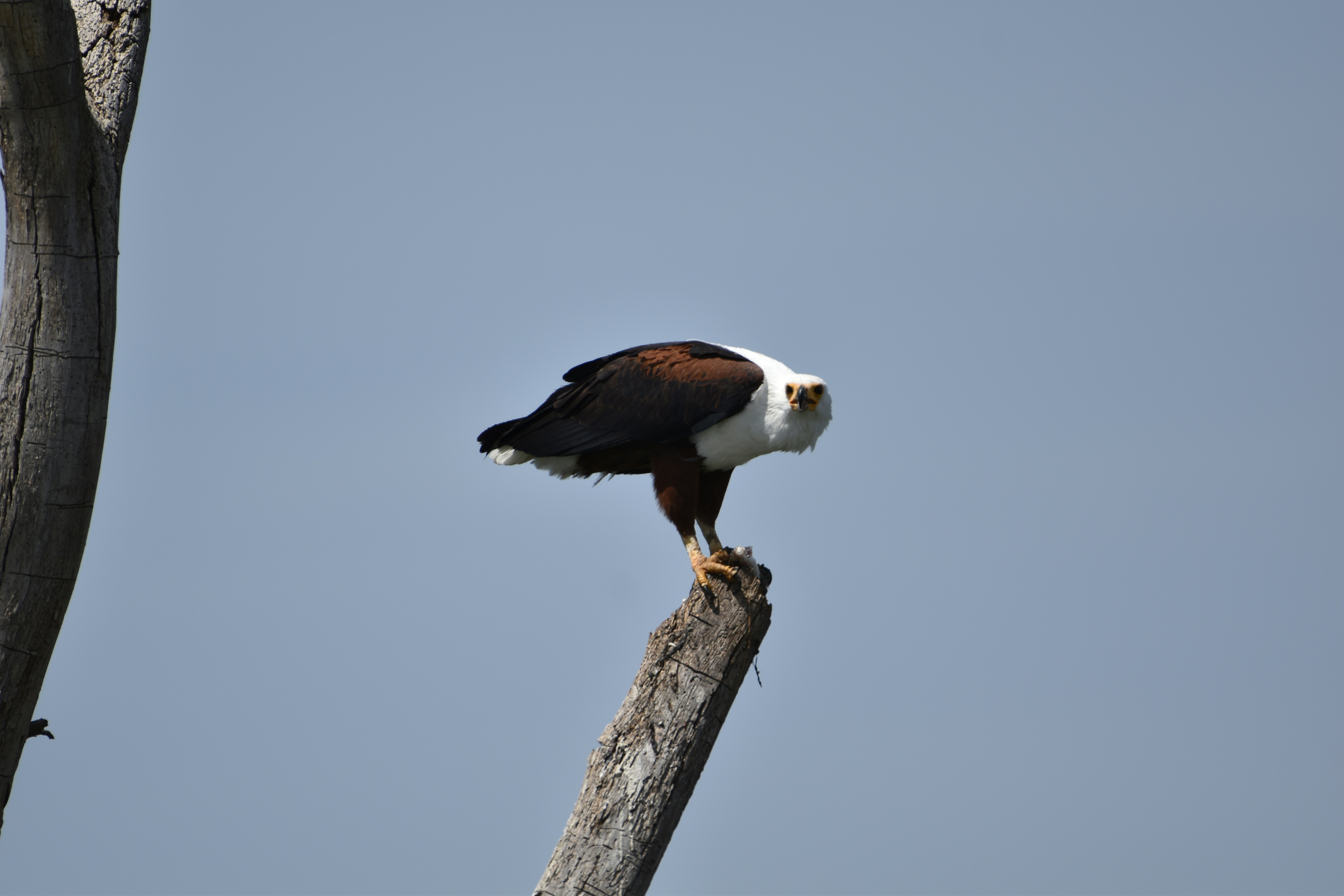 Photo by julius_ngigi