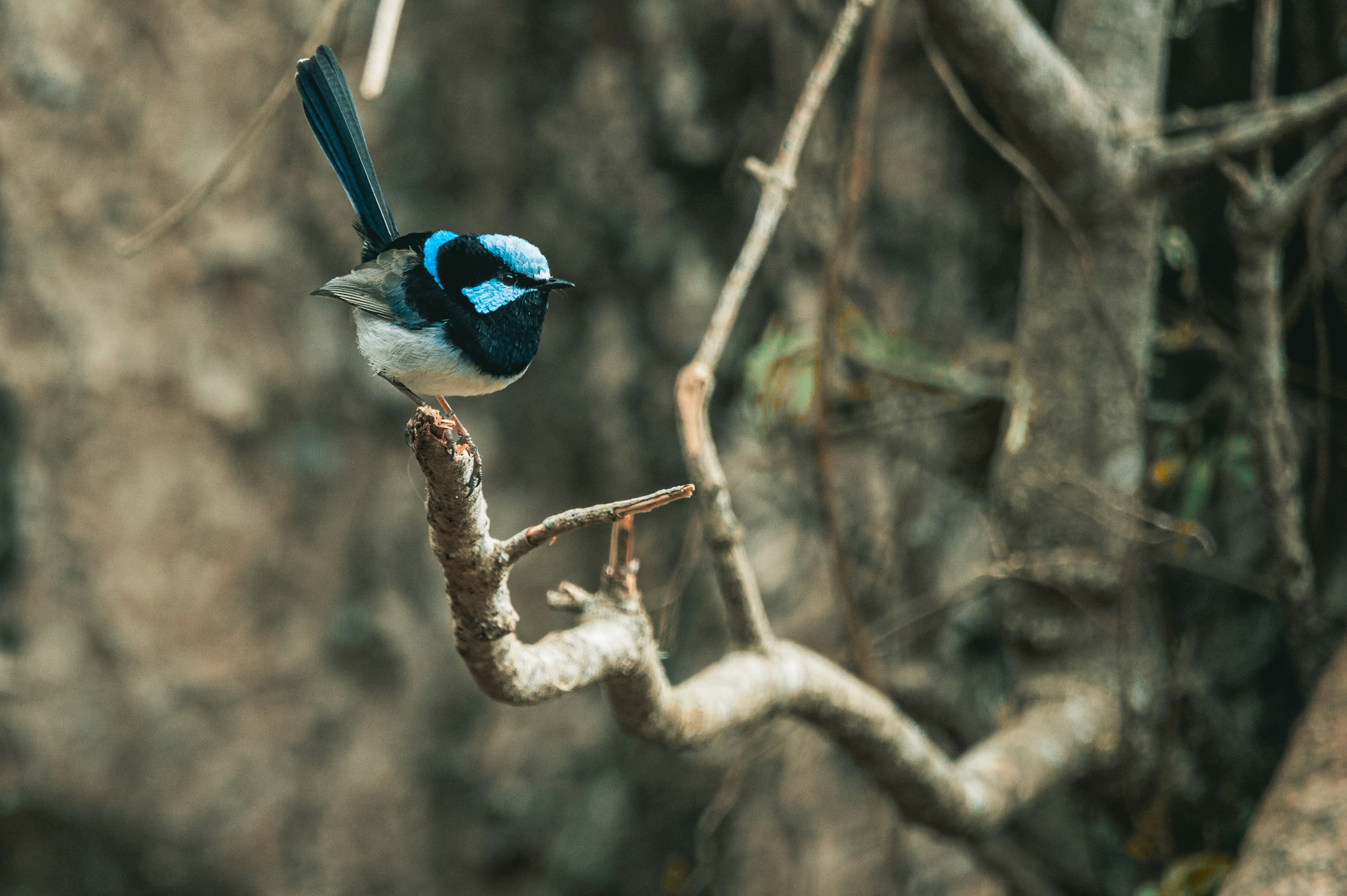 Photo by lando2