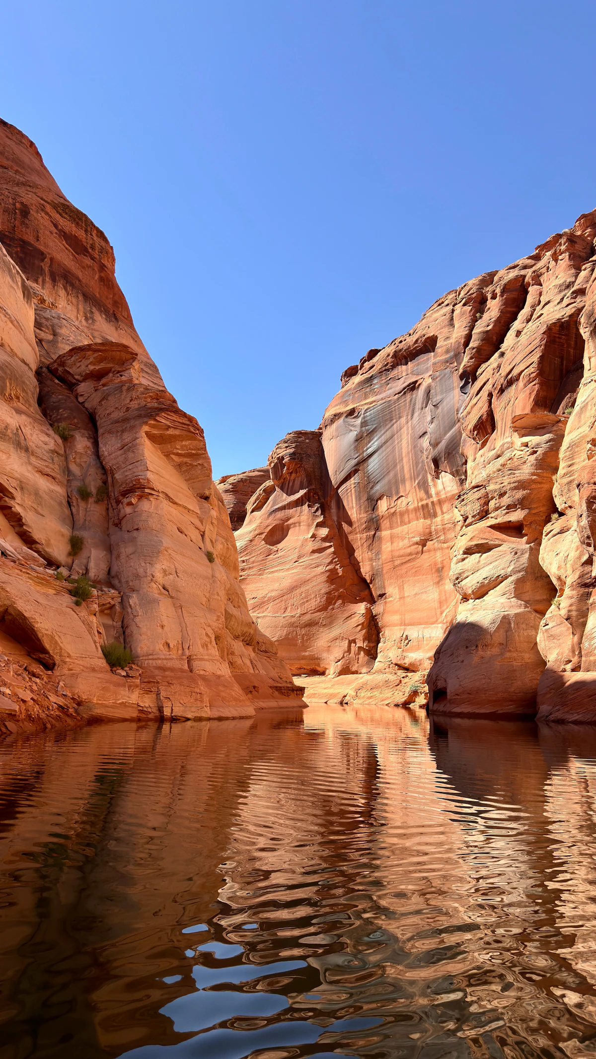 Lake Powell red rocks around blue water