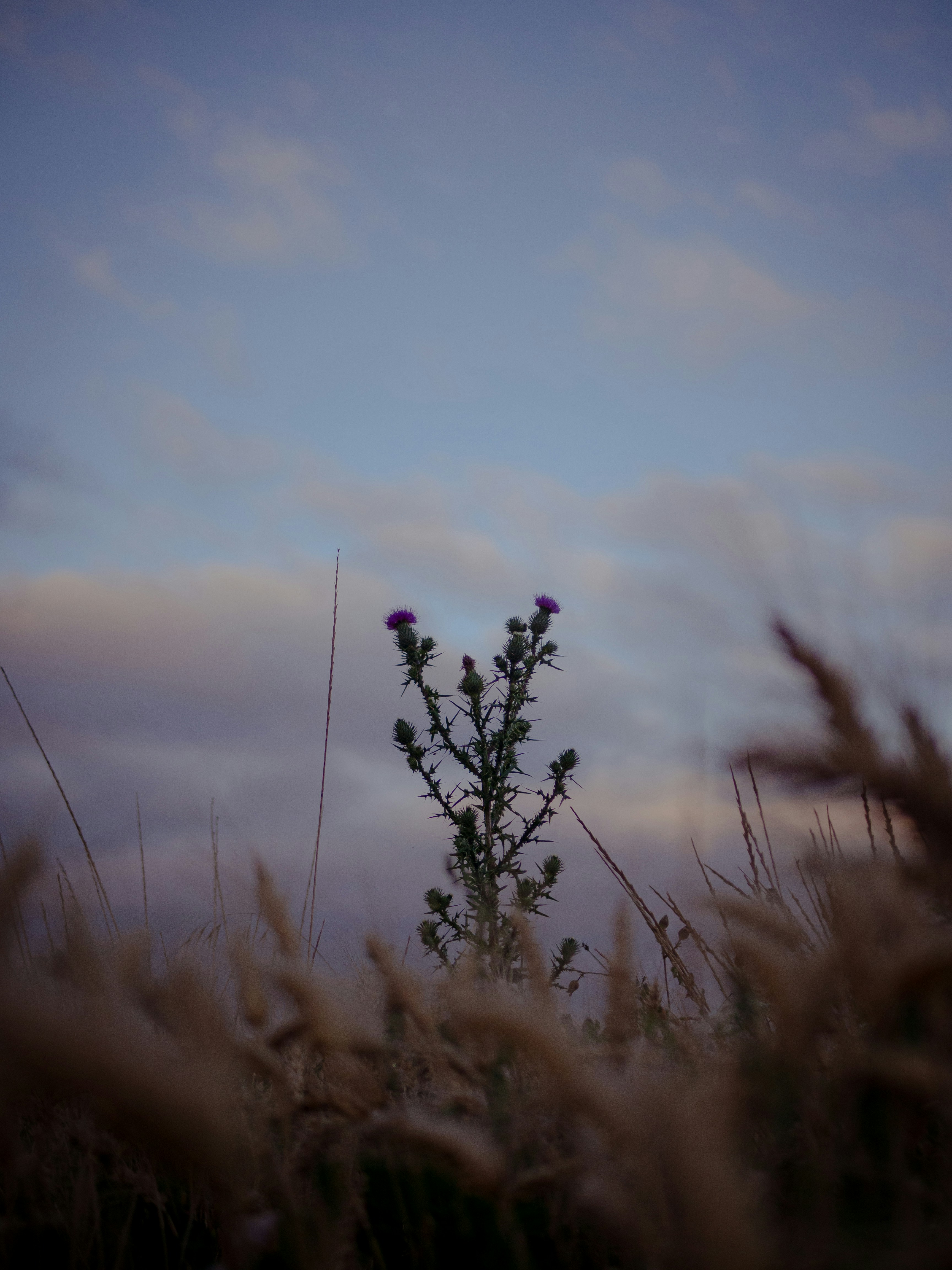 Photo by etiennechevalier