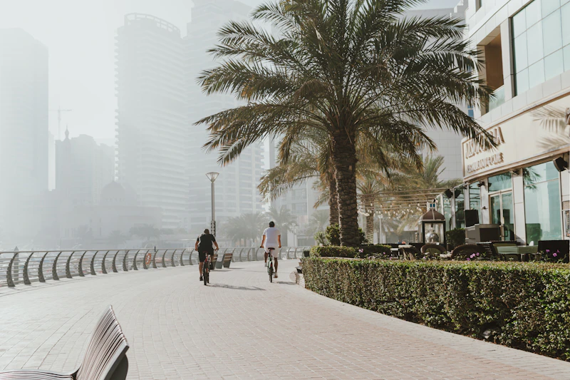 New VAT Rules in the UAE Starting 2026