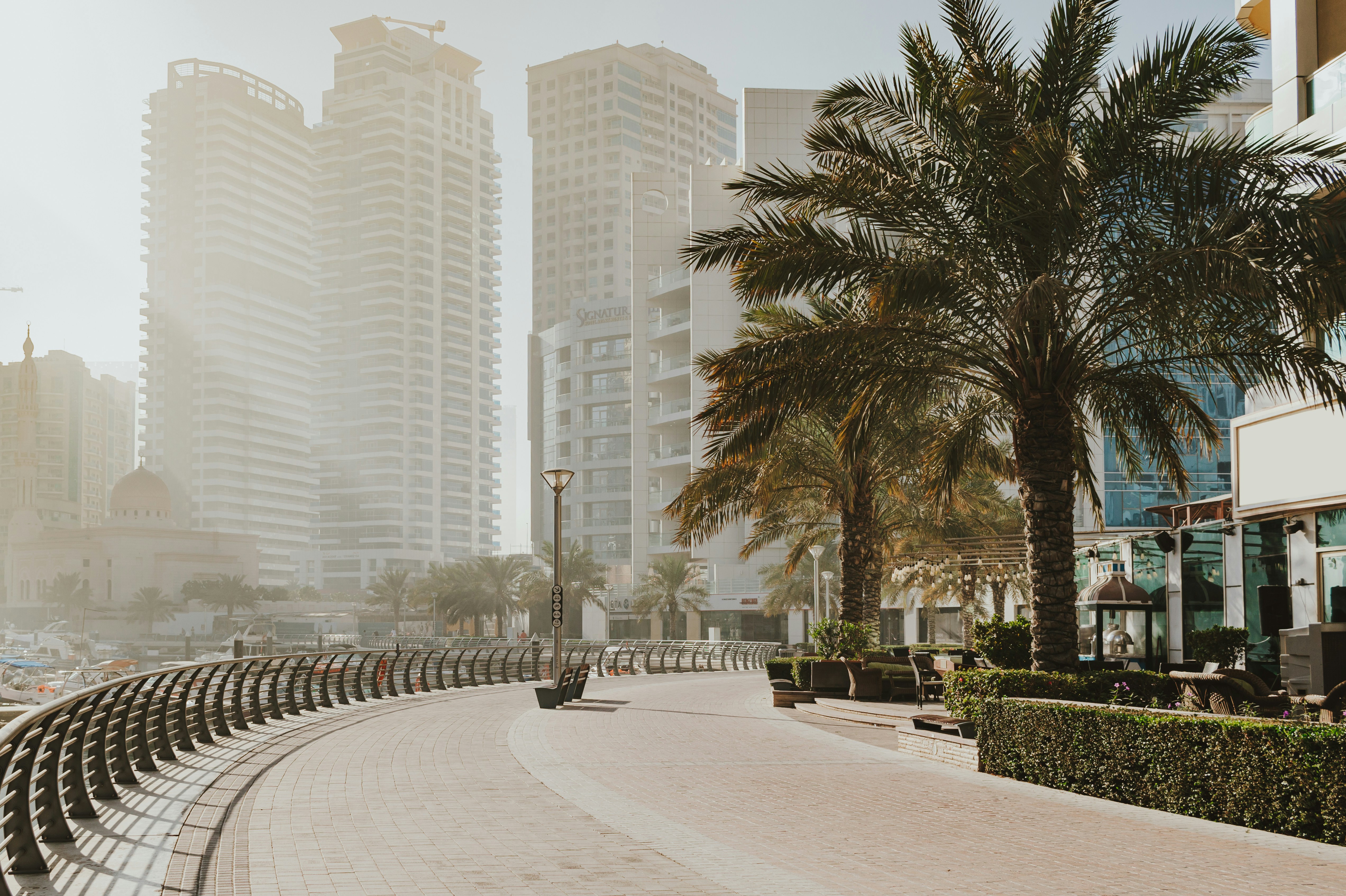 A row of benches sitting on the side of a road