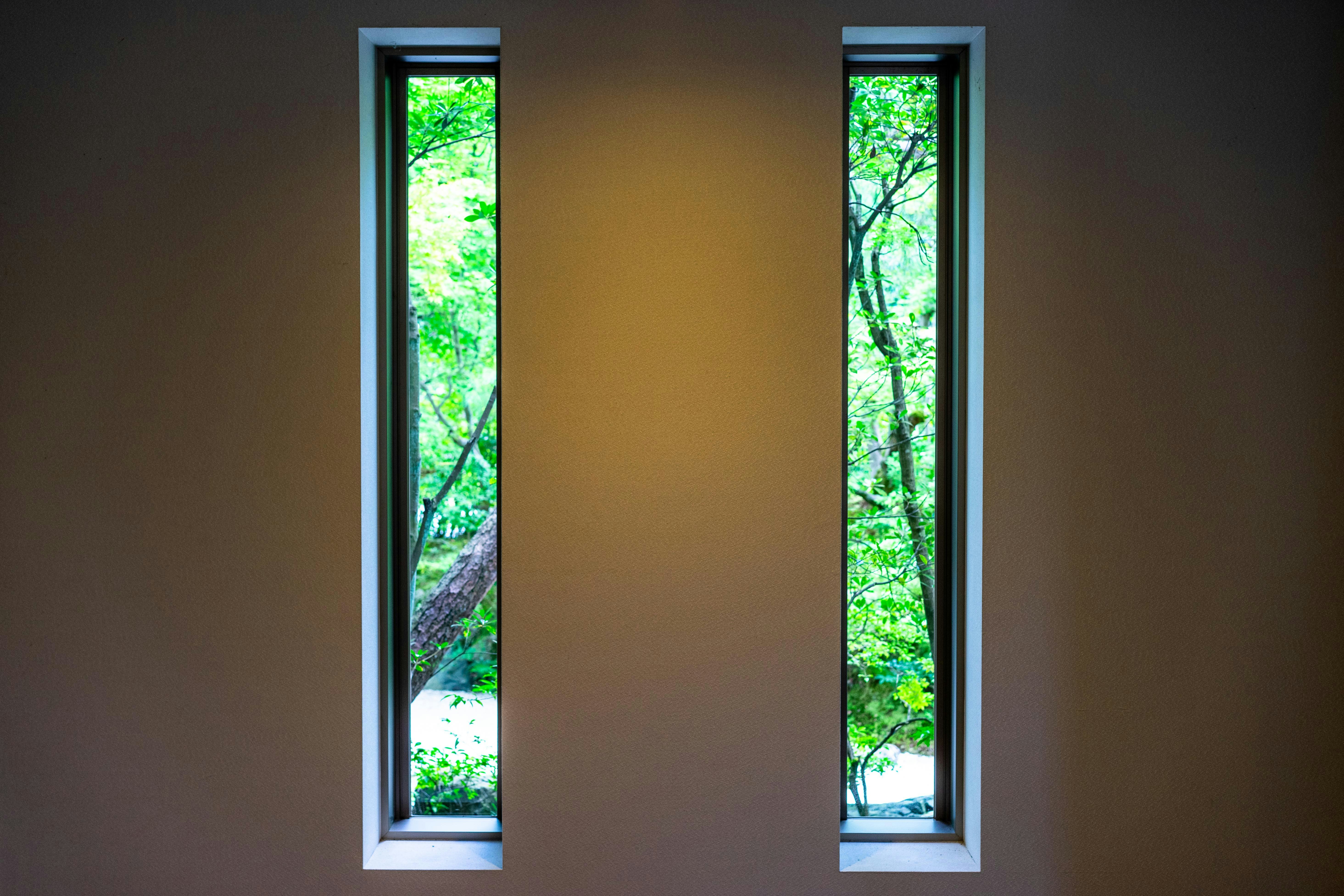 A room with two windows and a bench