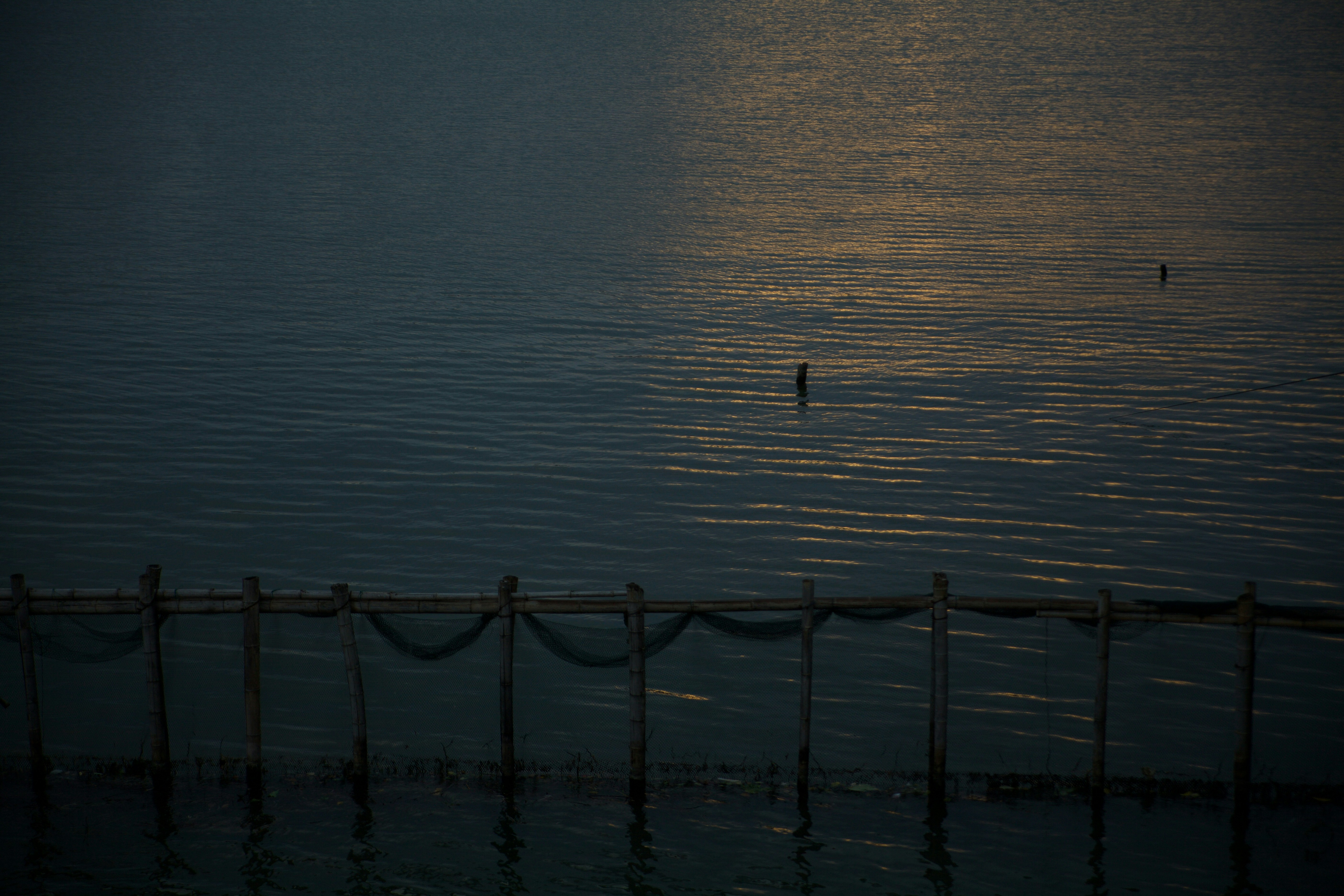 Photo by gro1l
