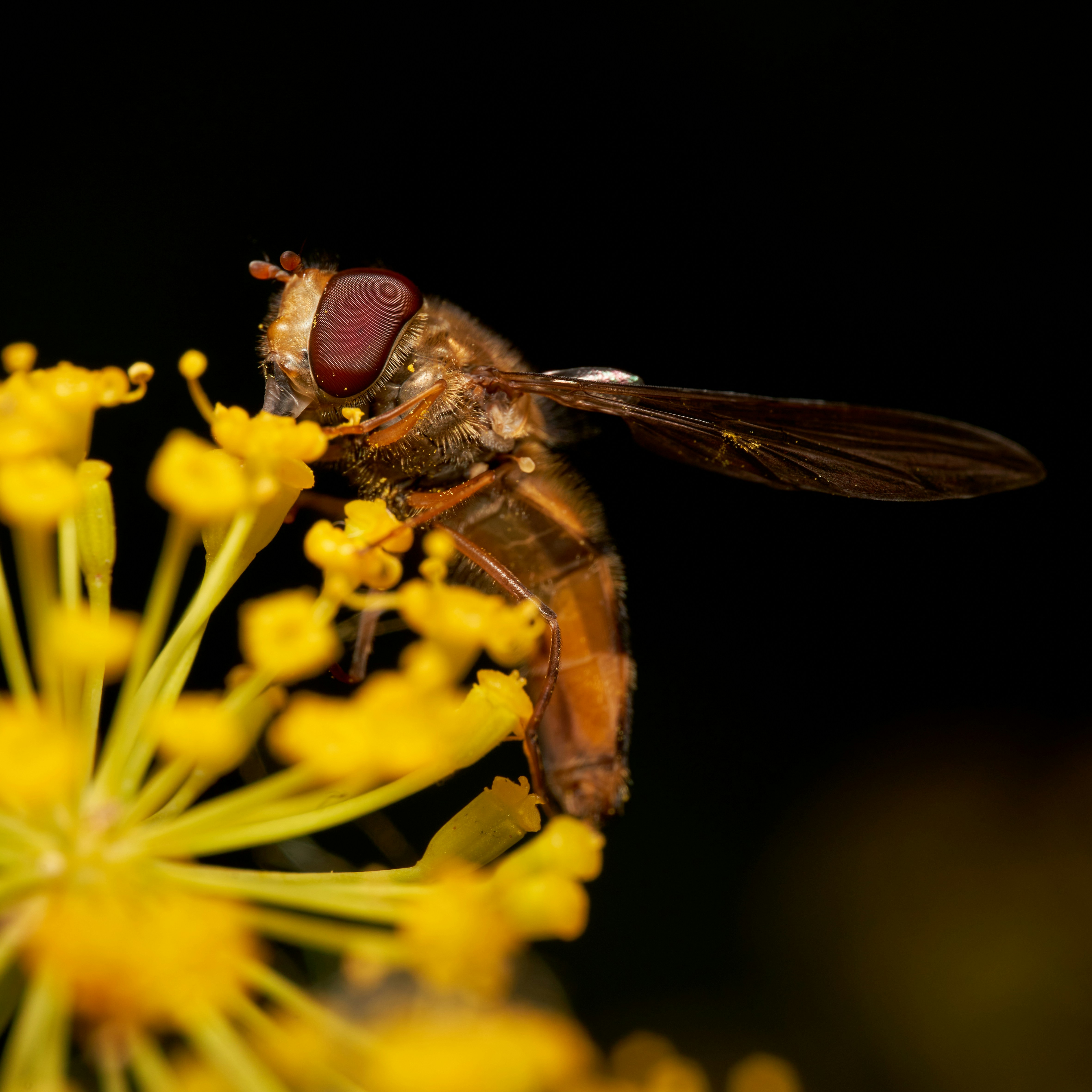 Photo by davotibarna