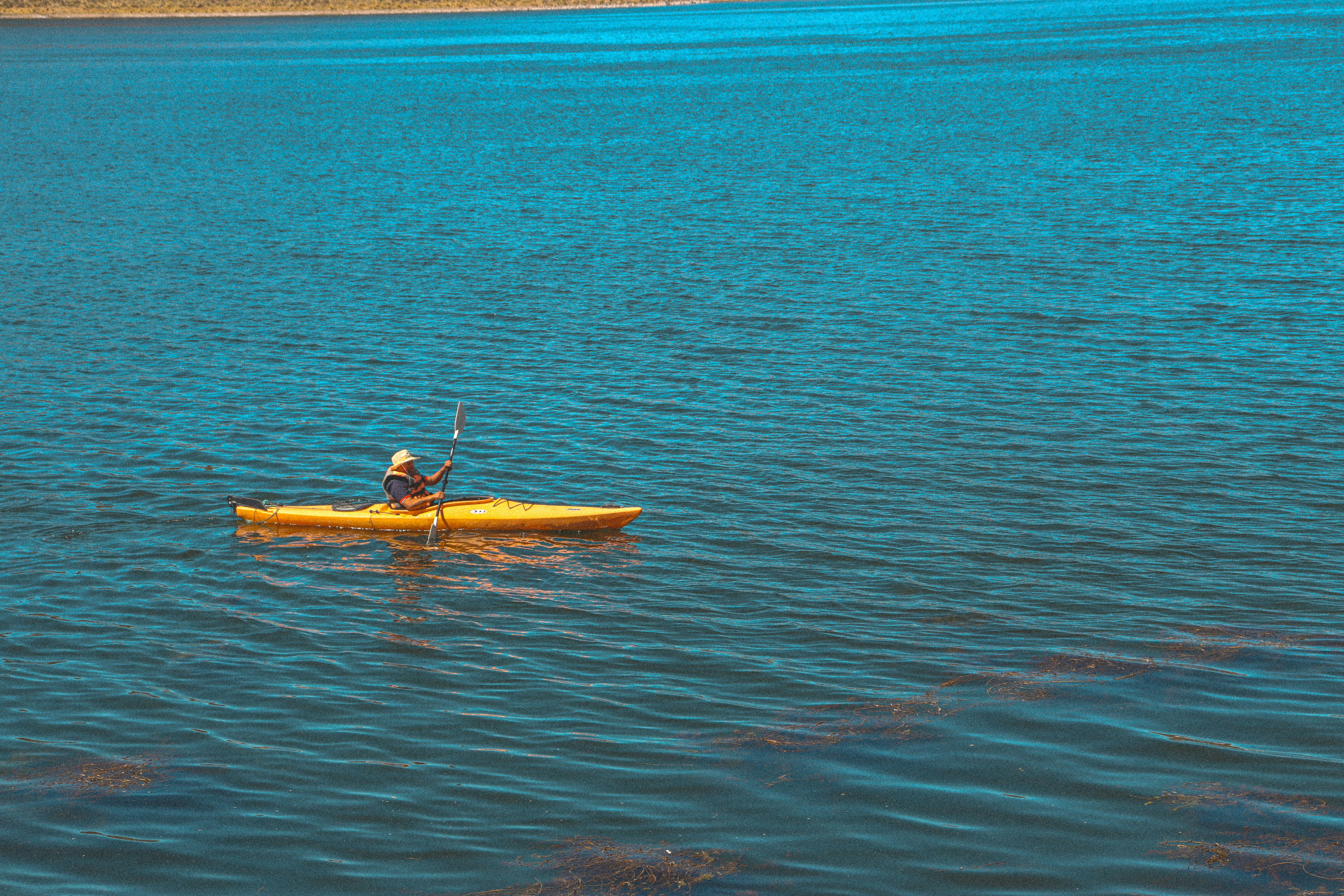 photo-1722398335939-5b37429fa50f?ixid=M3wxMjA3fDB8MXxzZWFyY2h8MTl8fCVEMCVCMyVEMCVCRSVEMCVCQiVEMSU4MyVEMCVCMSVEMSU4QiVEMCVCNSUyMCVEMCVCRSVEMCVCNyVEMCVCNSVEMSU4MCVEMCVCMCUyMCVEMSU4RCVEMCVCQSVEMSU4MSVEMCVCQSVEMSU4MyVEMSU4MCVEMSU4MSVEMCVCOCVEMCVCOCUyMCVEMCVCQSVEMCVCMCVEMCVCNyVEMCVCMCVEMCVCRCVEMSU4Q3xlbnwwfHx8fDE3NTg5ODY1Mzd8MA\u0026ixlib=rb-4.1.0