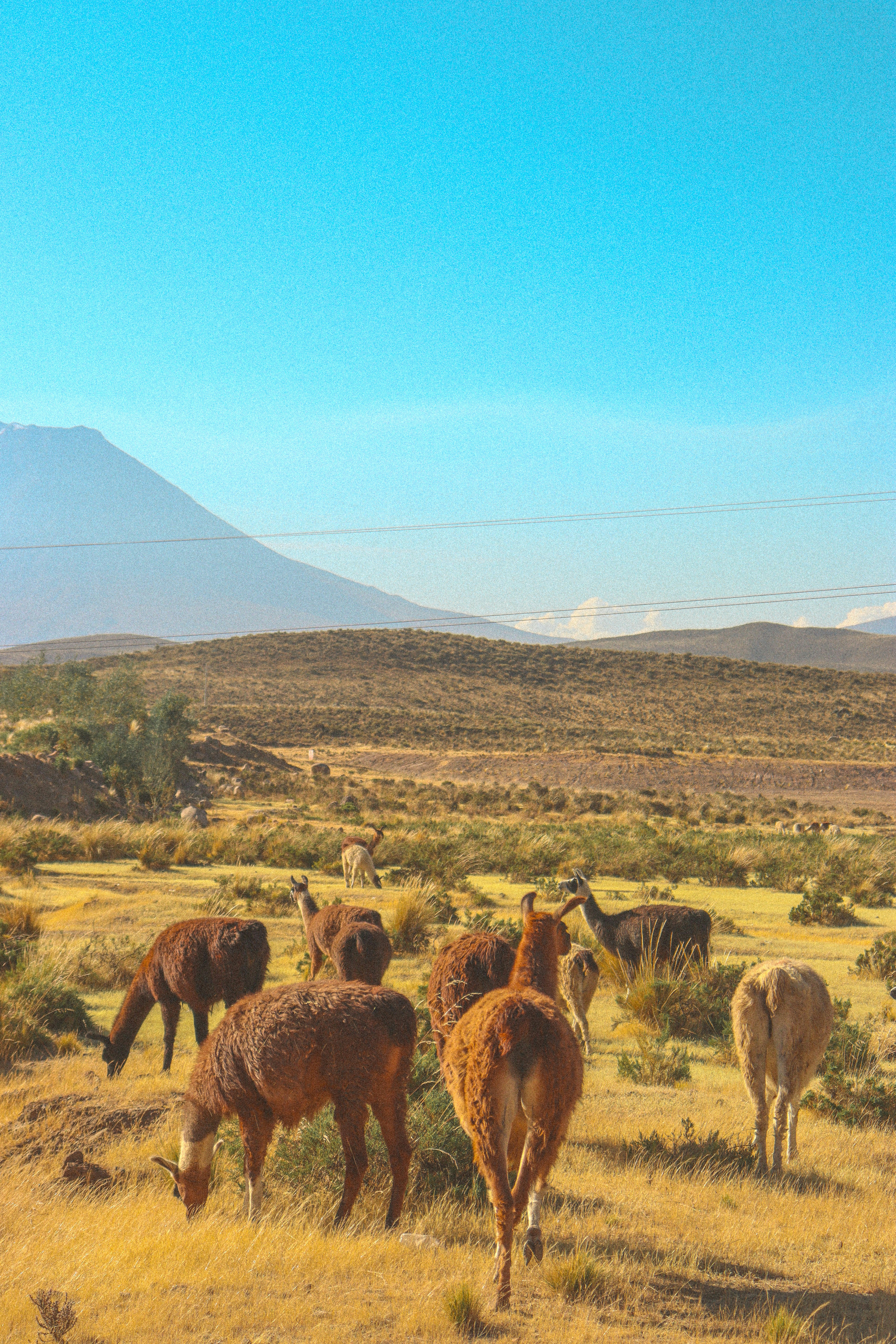 Photo by gabrielistvan_fotografia