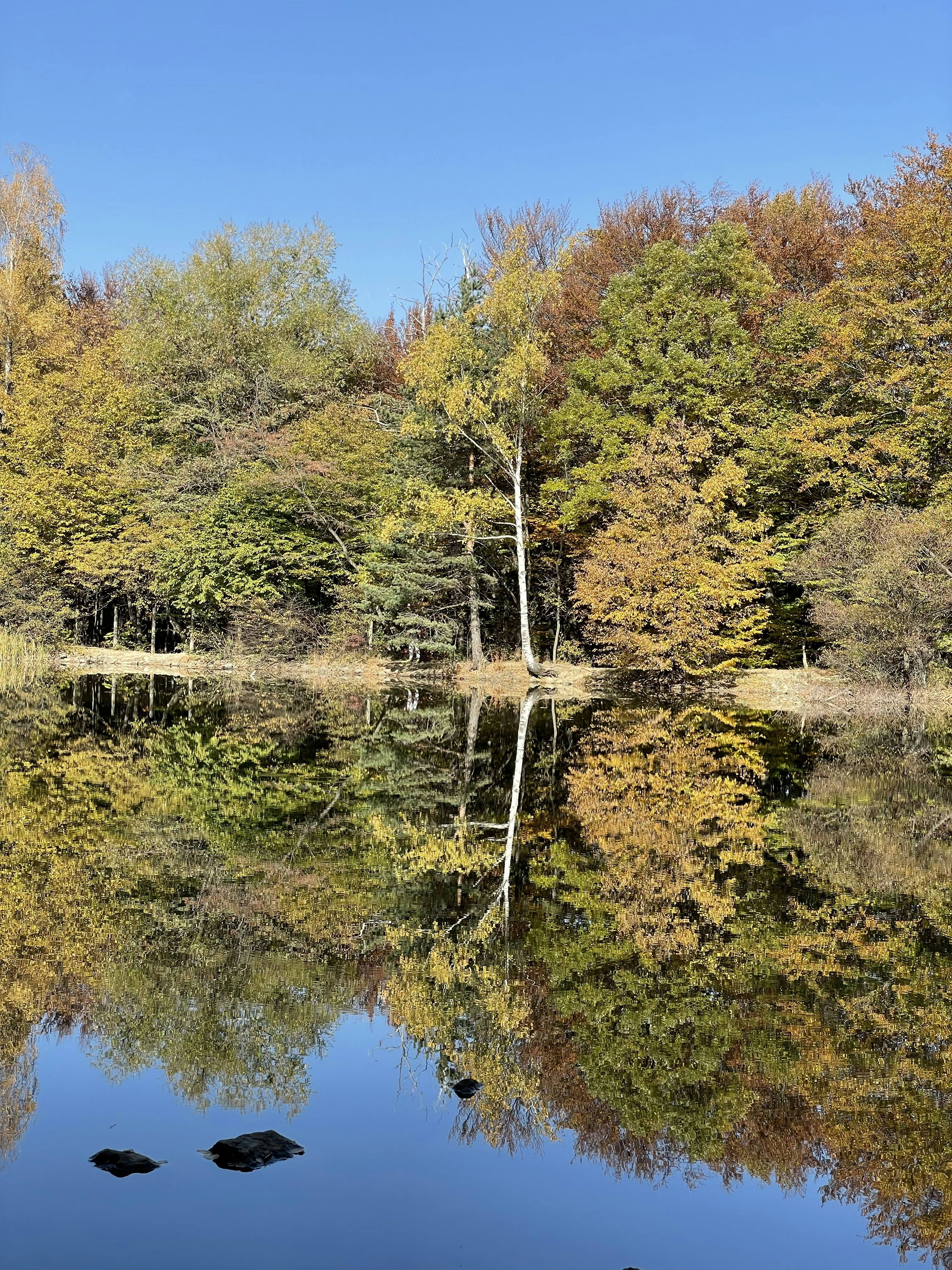 Photo by ivankatashkova