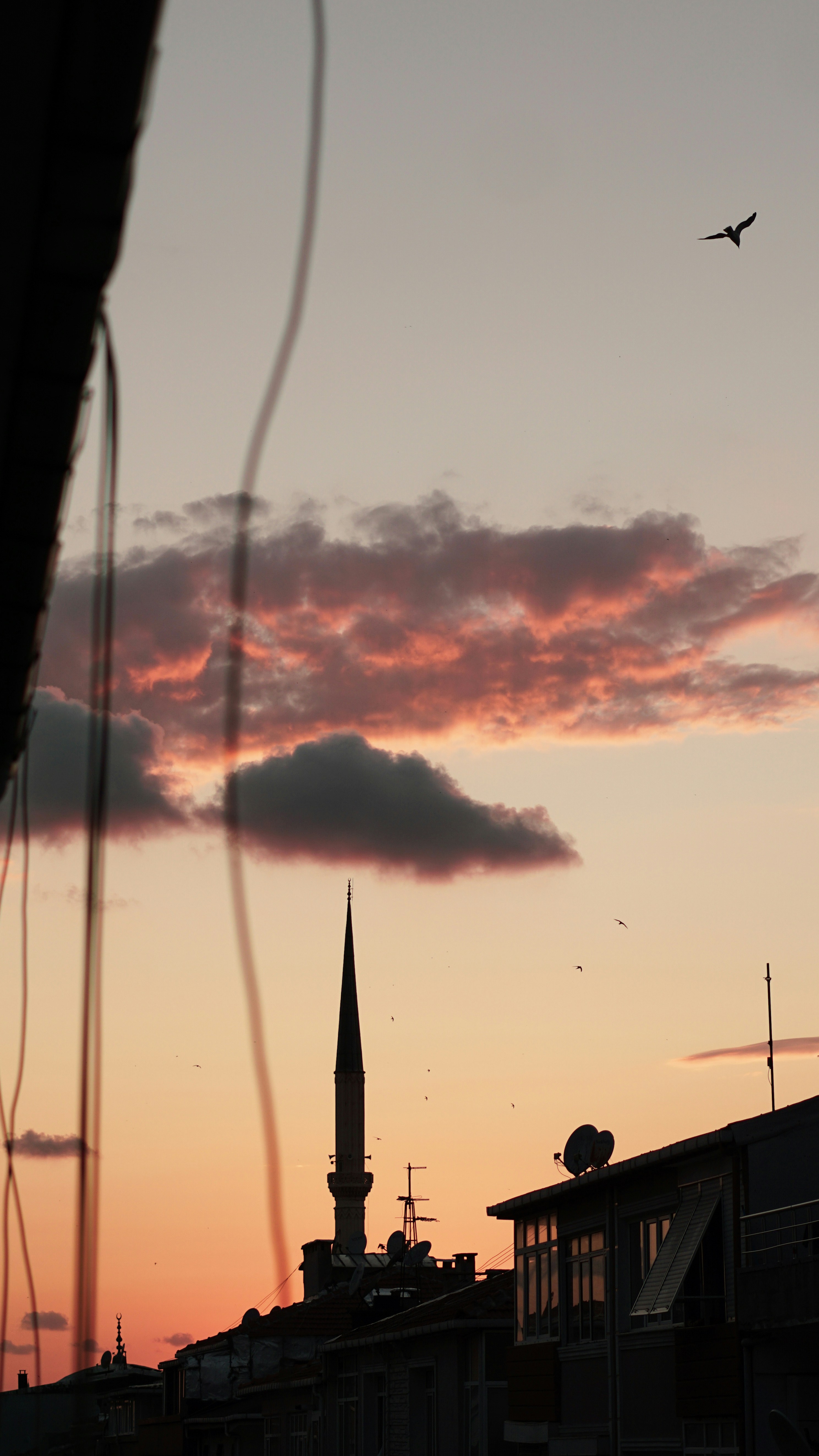 A bird flying over a city at sunset