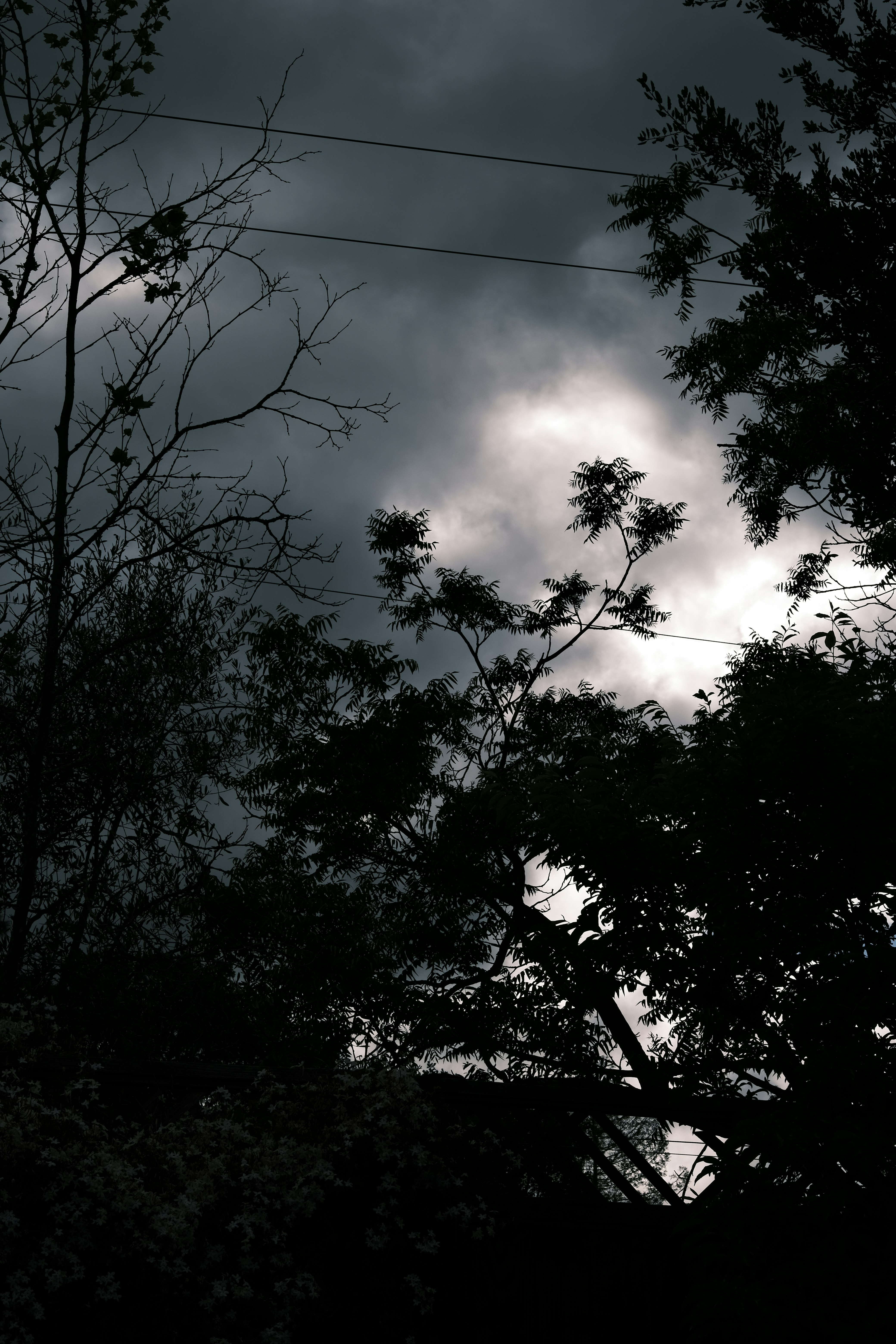 Photo by jacobmitani12