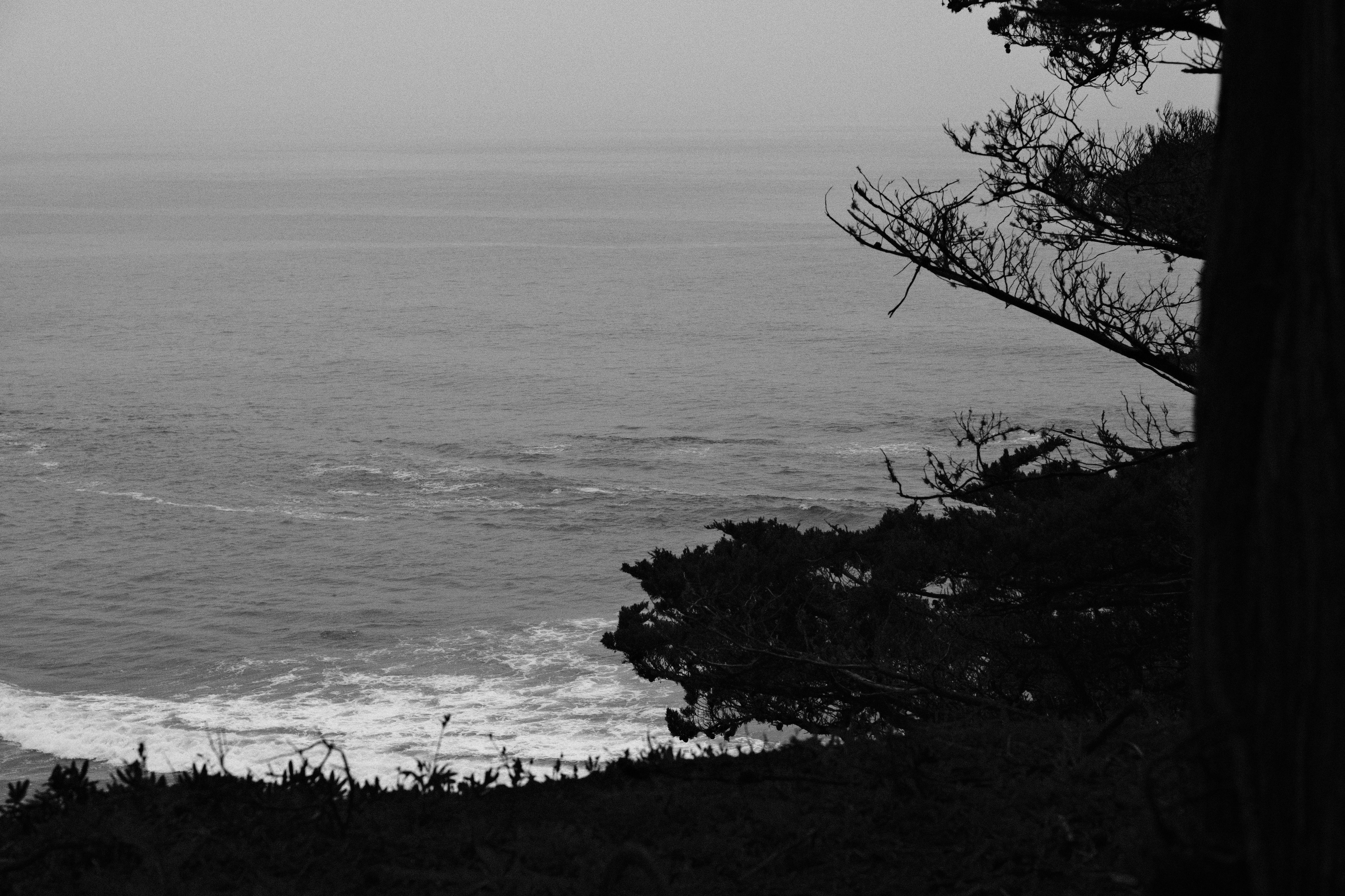 Photo by jacobmitani12