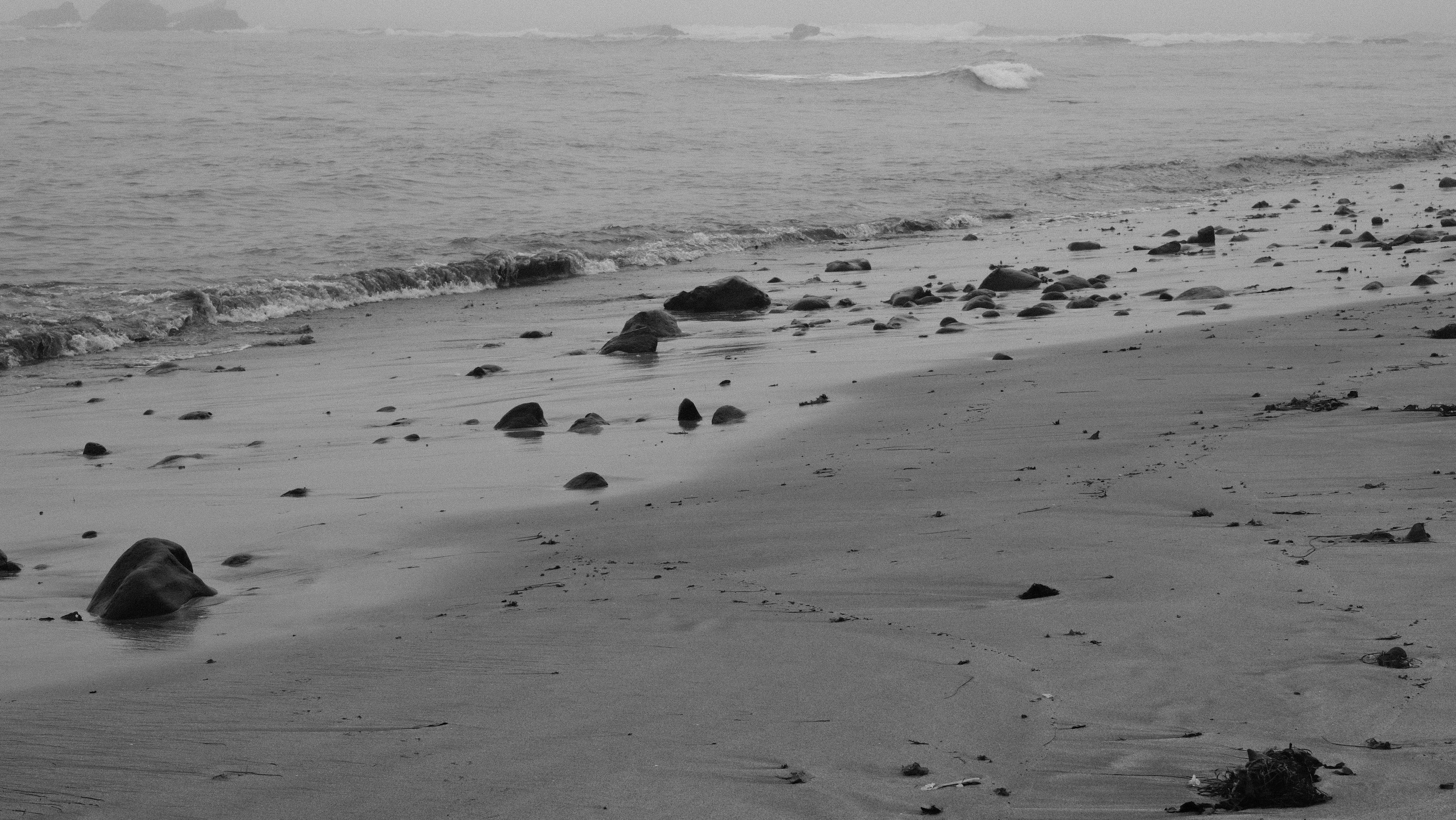 Photo by jacobmitani12