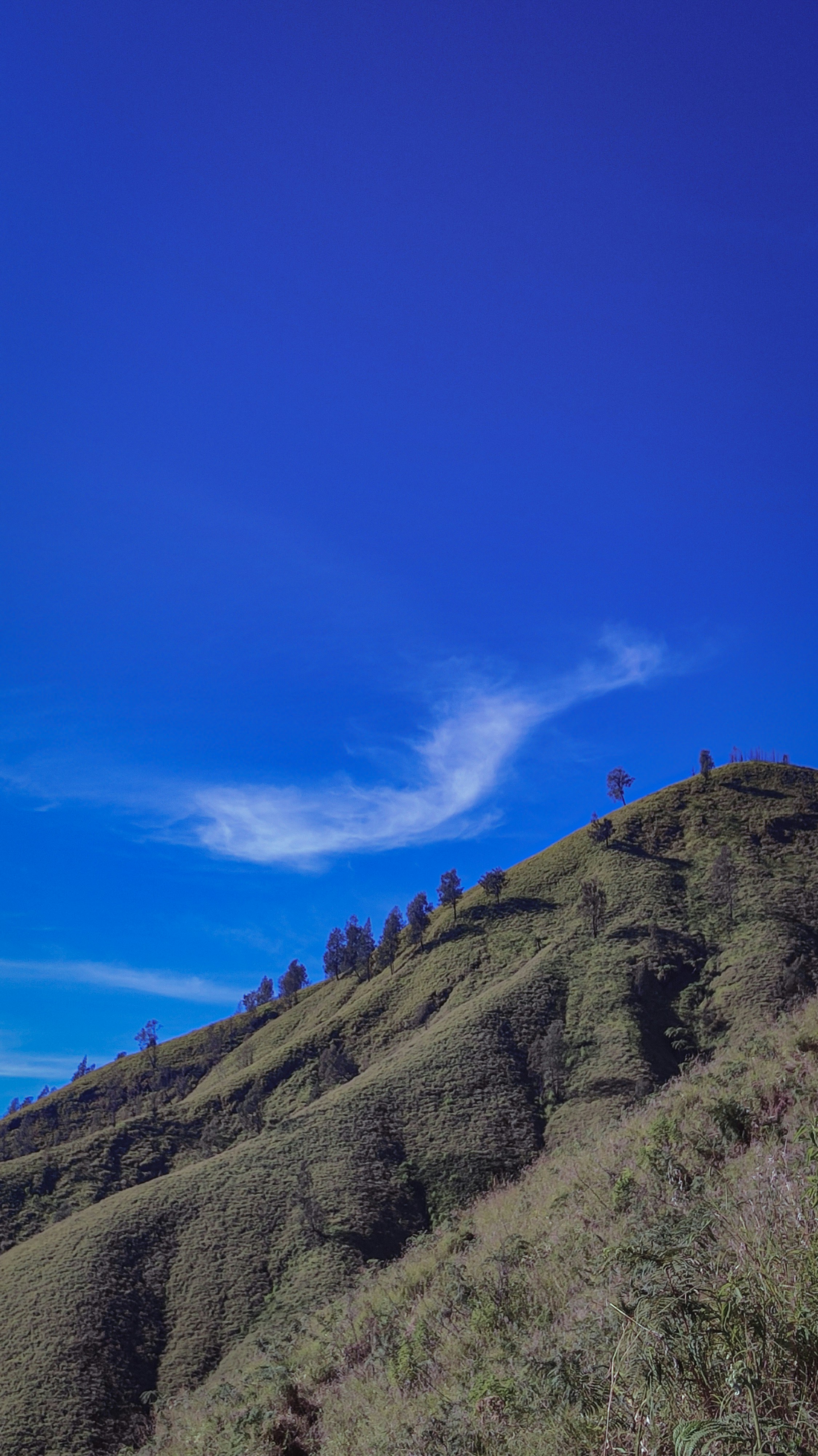 Photo by guptagirinanta