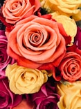A close up of a bouquet of flowers