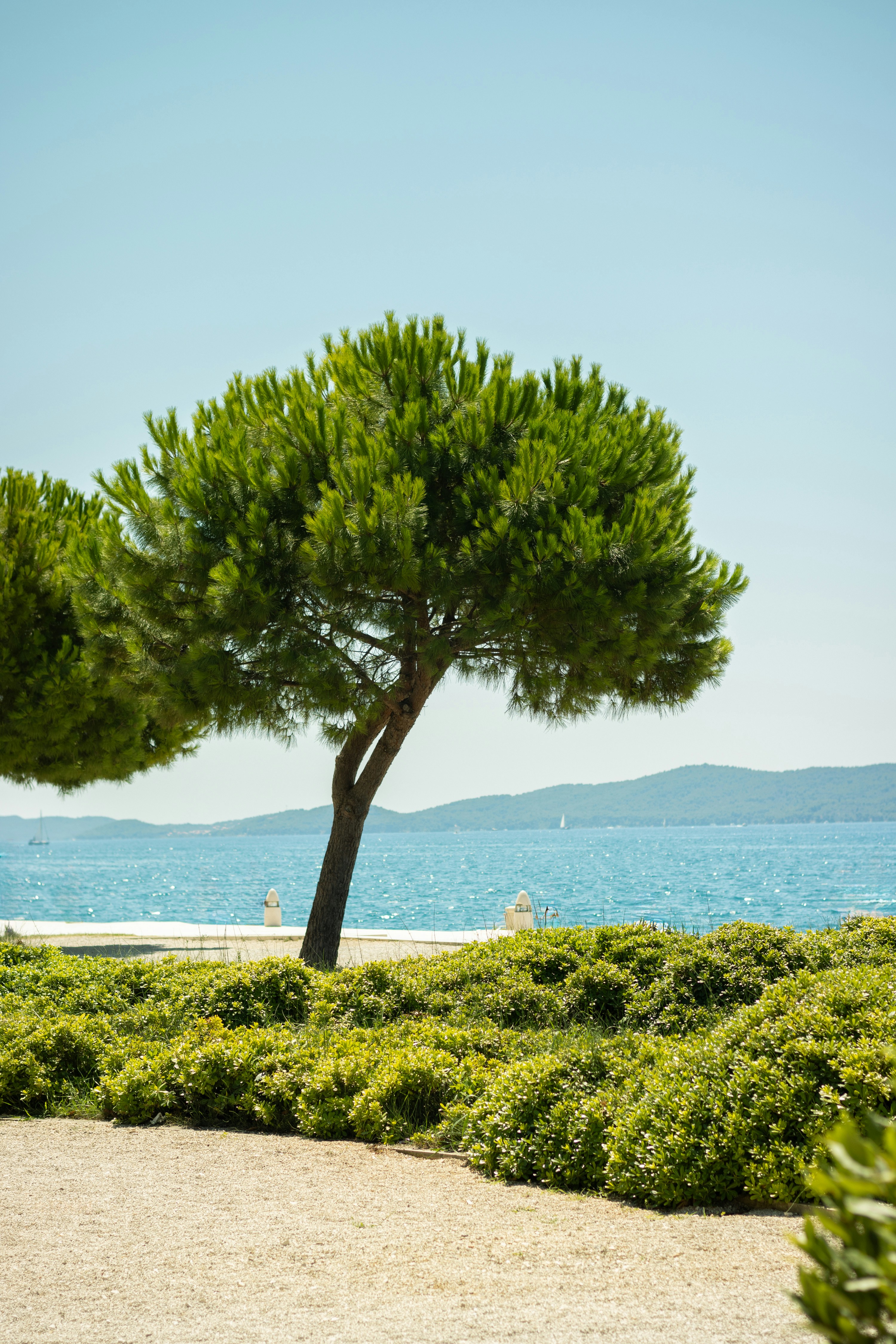 Photo by salamonbogi