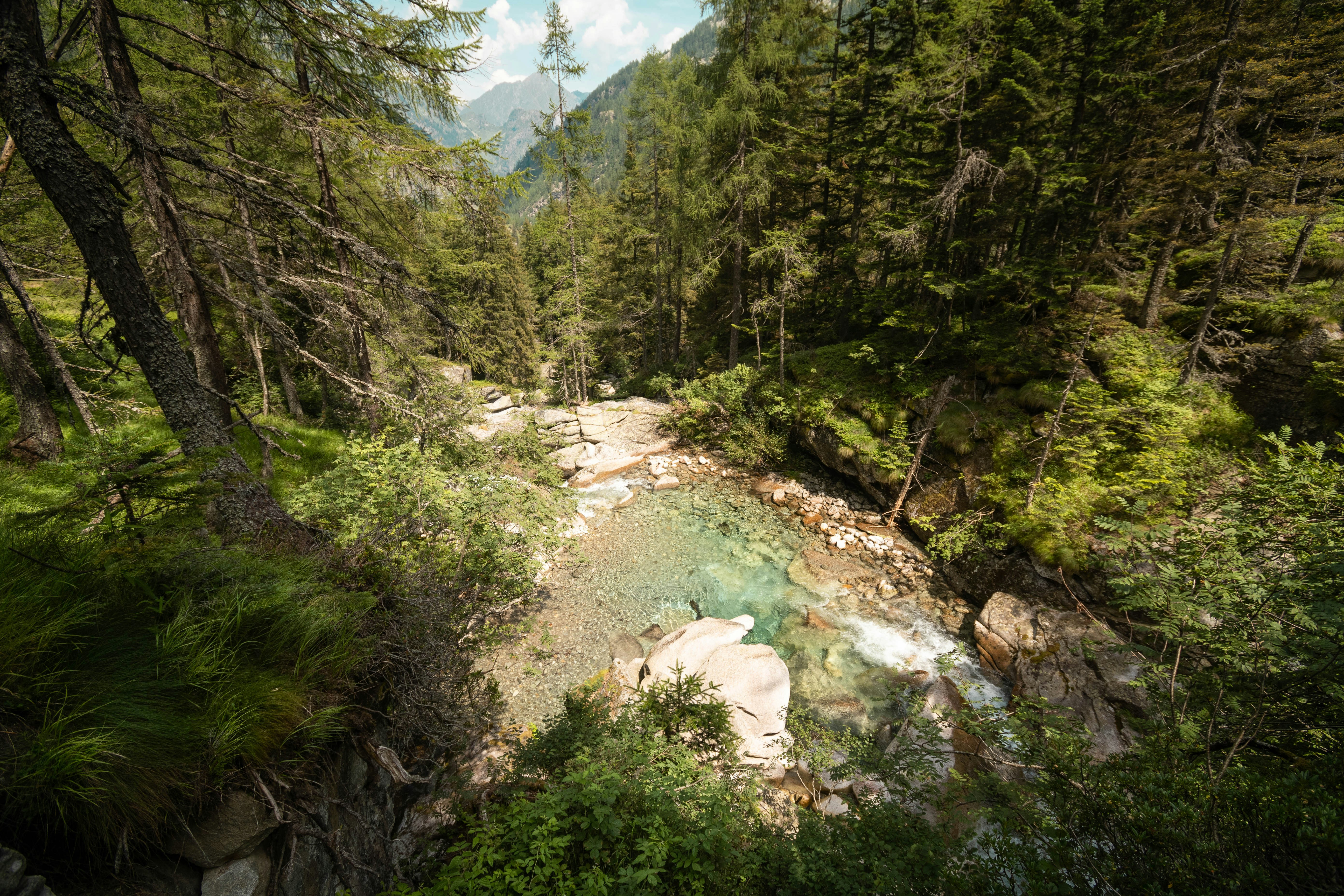 Photo by alessandrarenda