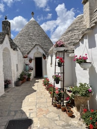 A row of white houses with pots of flowers in front of them