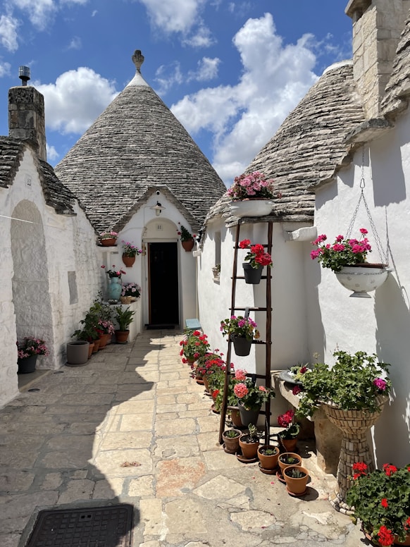 A row of white houses with pots of flowers in front of them