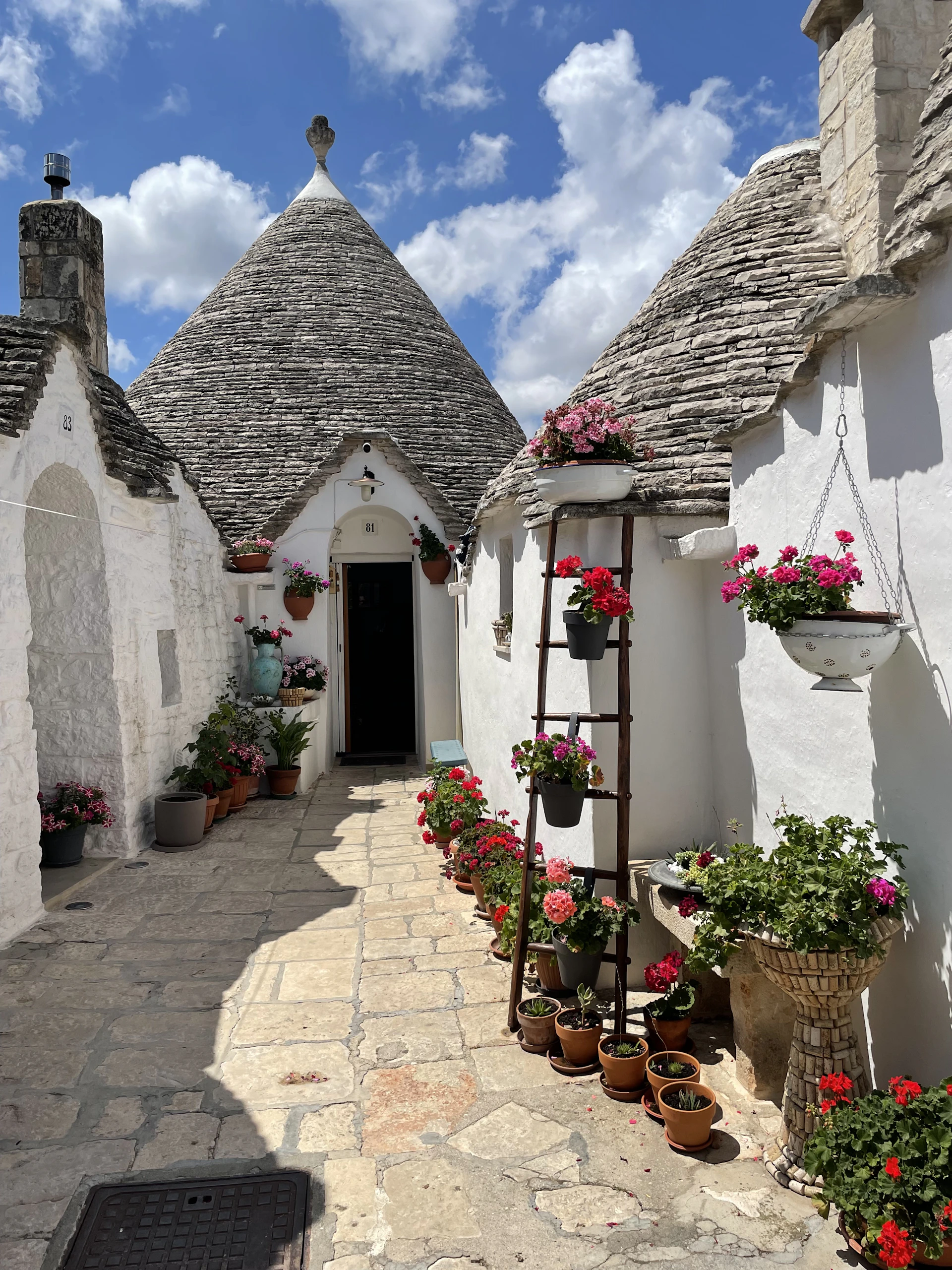 A row of white houses with pots of flowers in front of them
