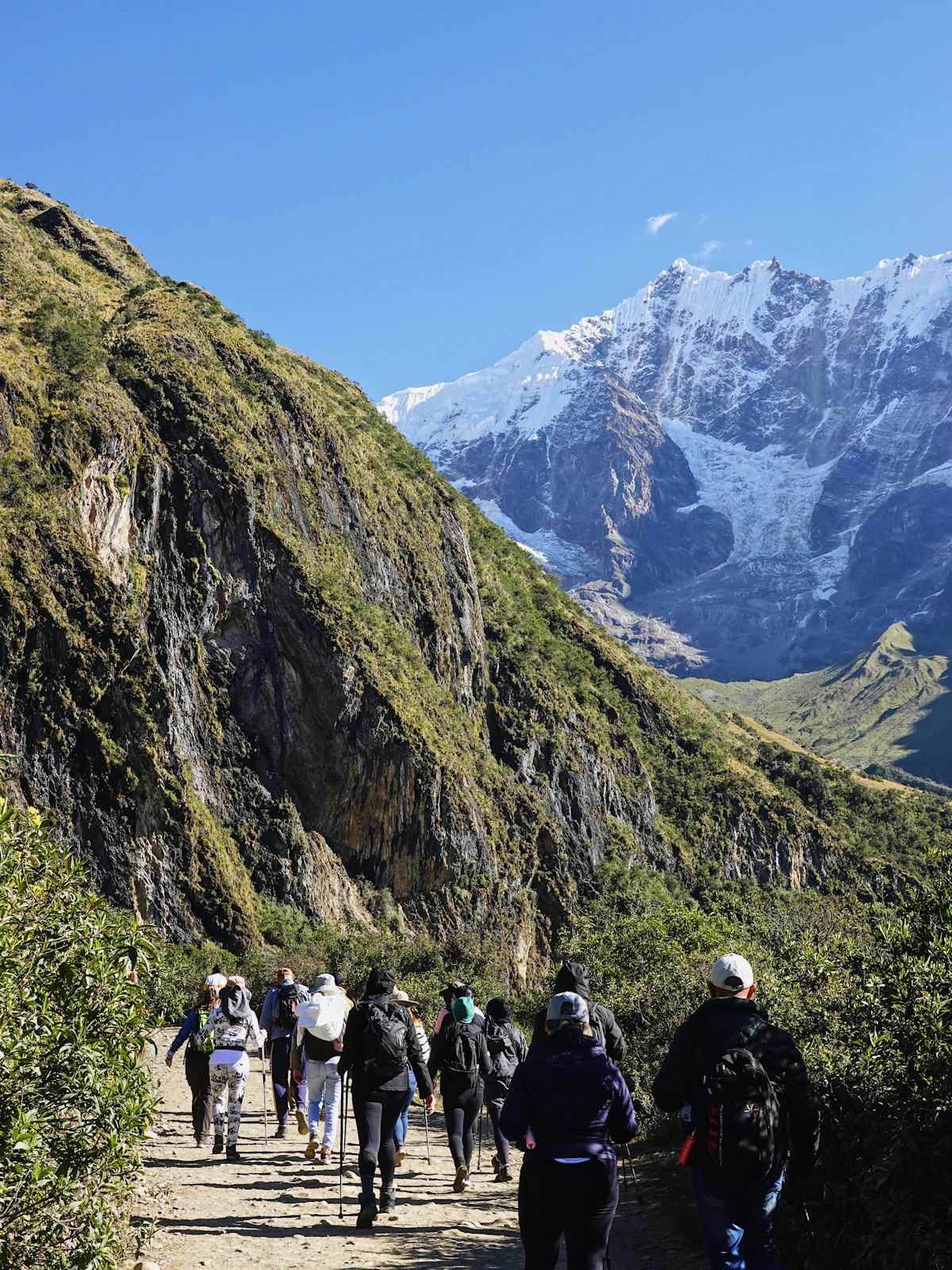 A group of travelers hiking together up a mountain trail in Peru during a custom group journey