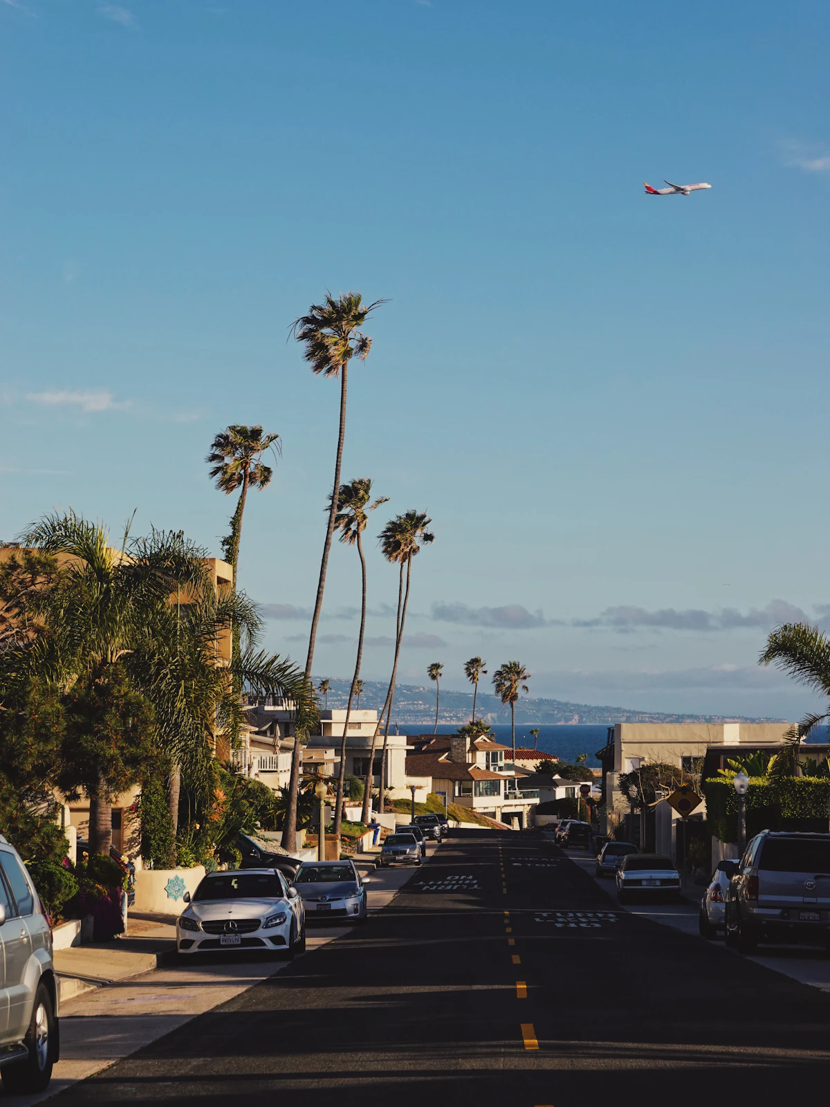 A Los Angeles street lined with palm trees in evening light