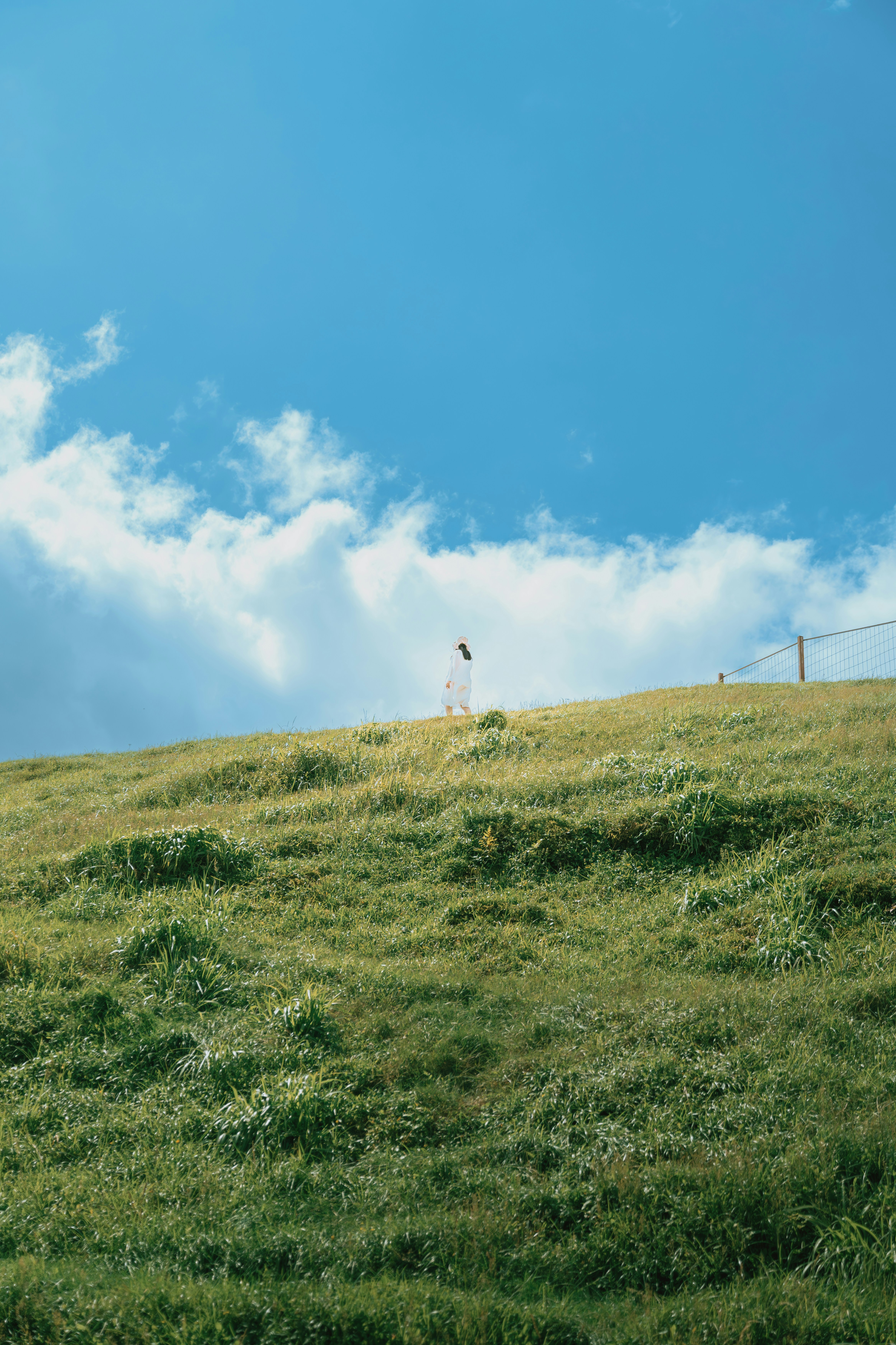 Photo by fruitfamous123