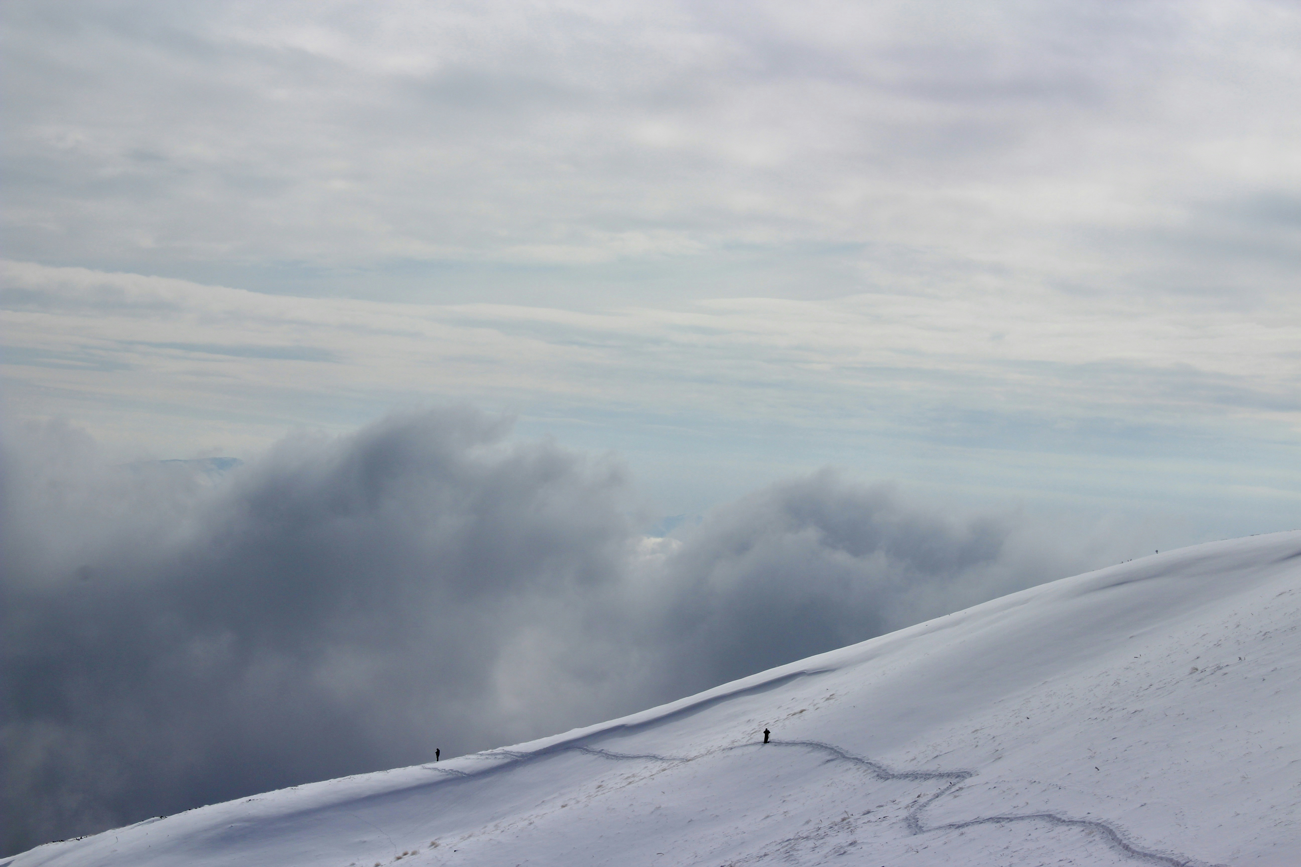 Photo by shimabadakhshan