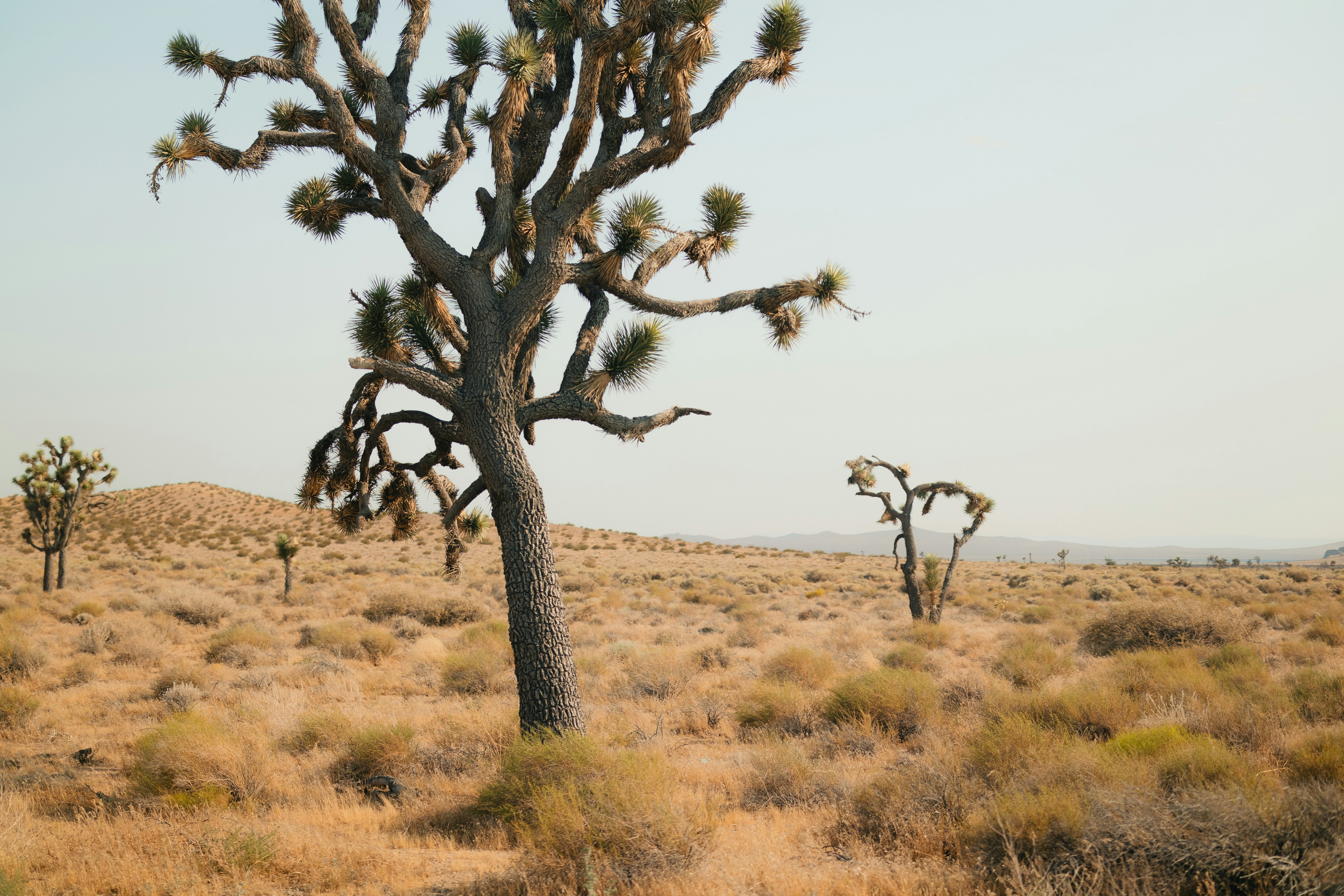 국가장학 1유형에서 최소 얼마를 지원하나요? 주요 내용 정리