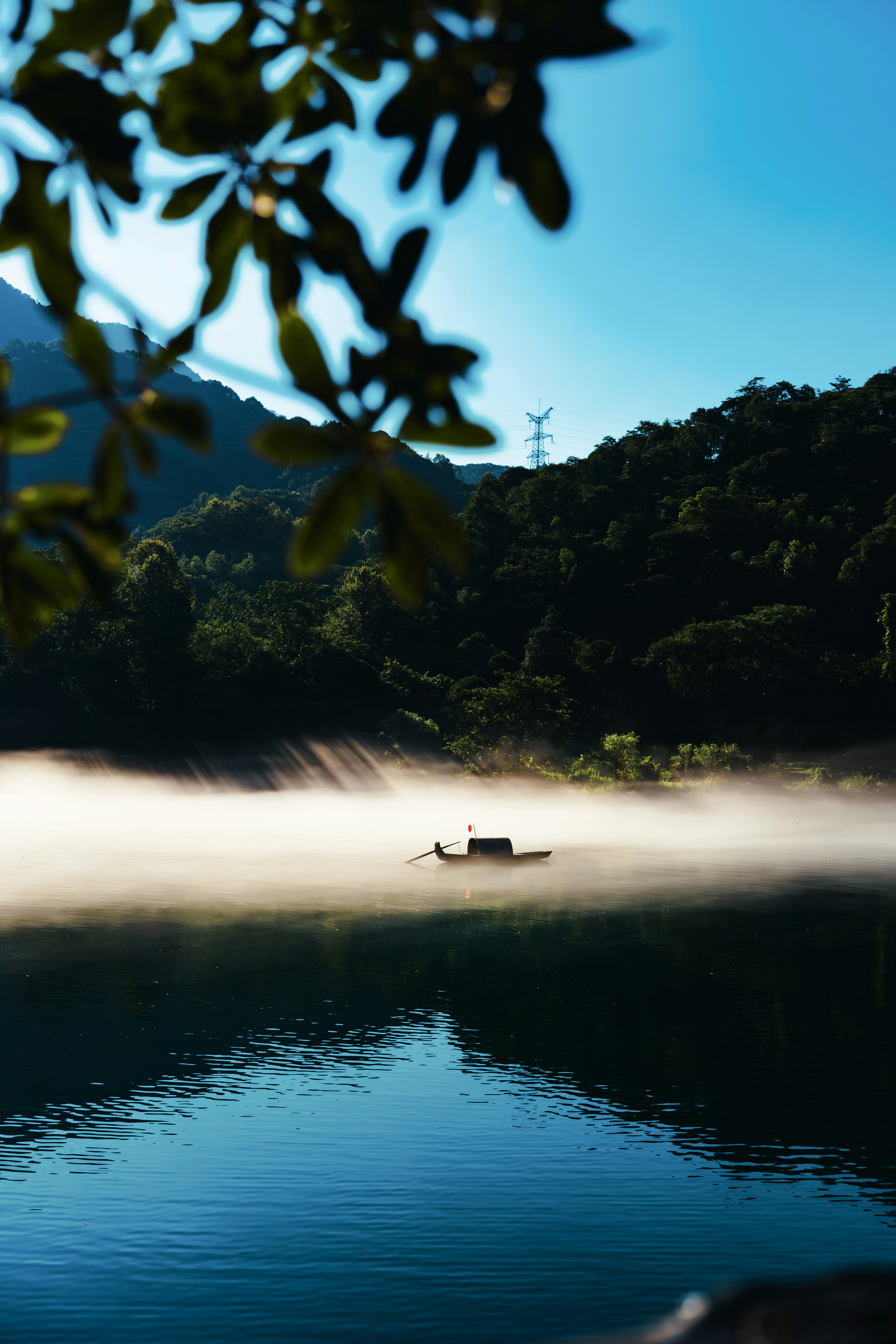 Photo by fruitfamous123