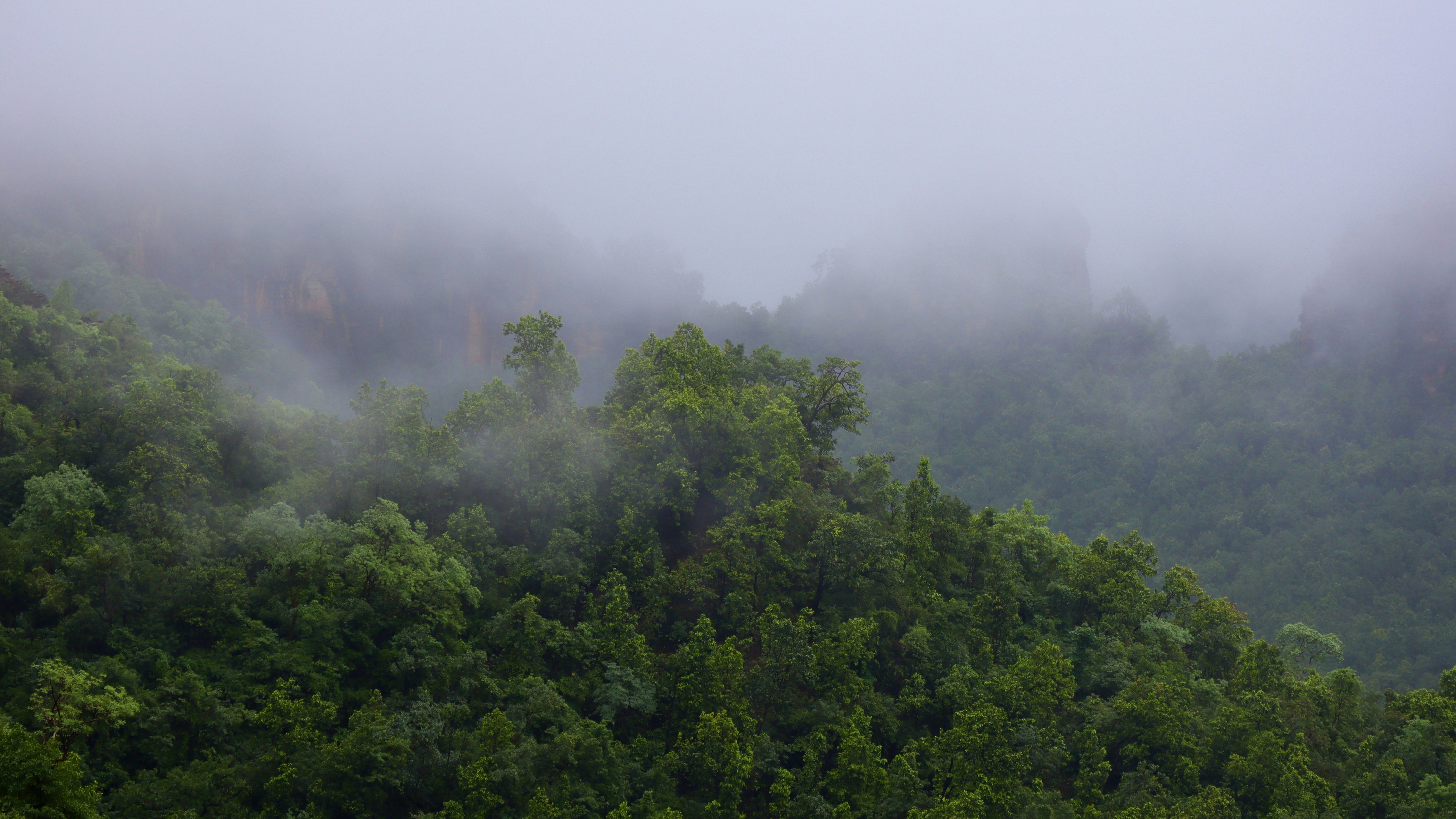 Photo by vineet_pathak