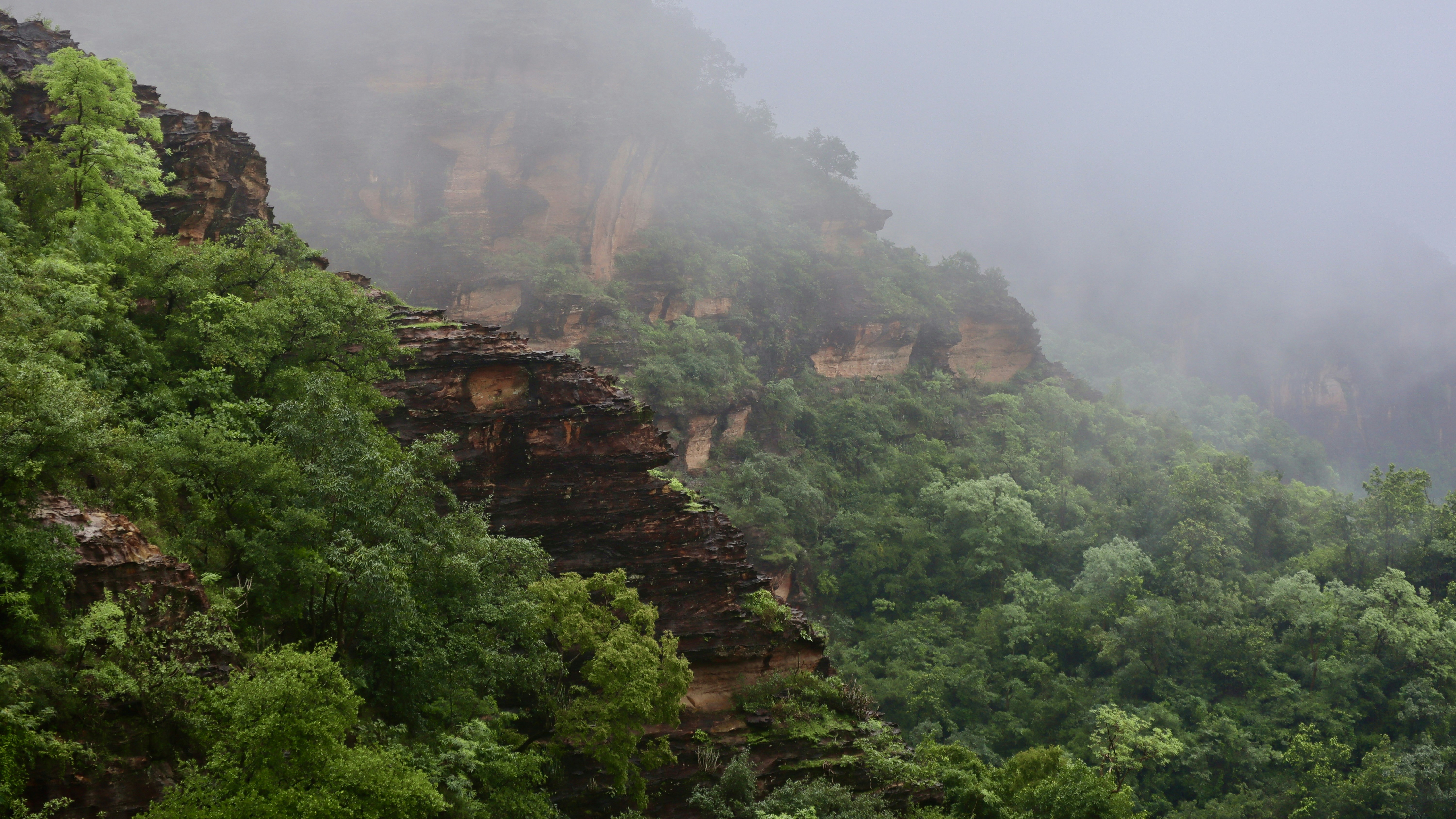 Photo by vineet_pathak