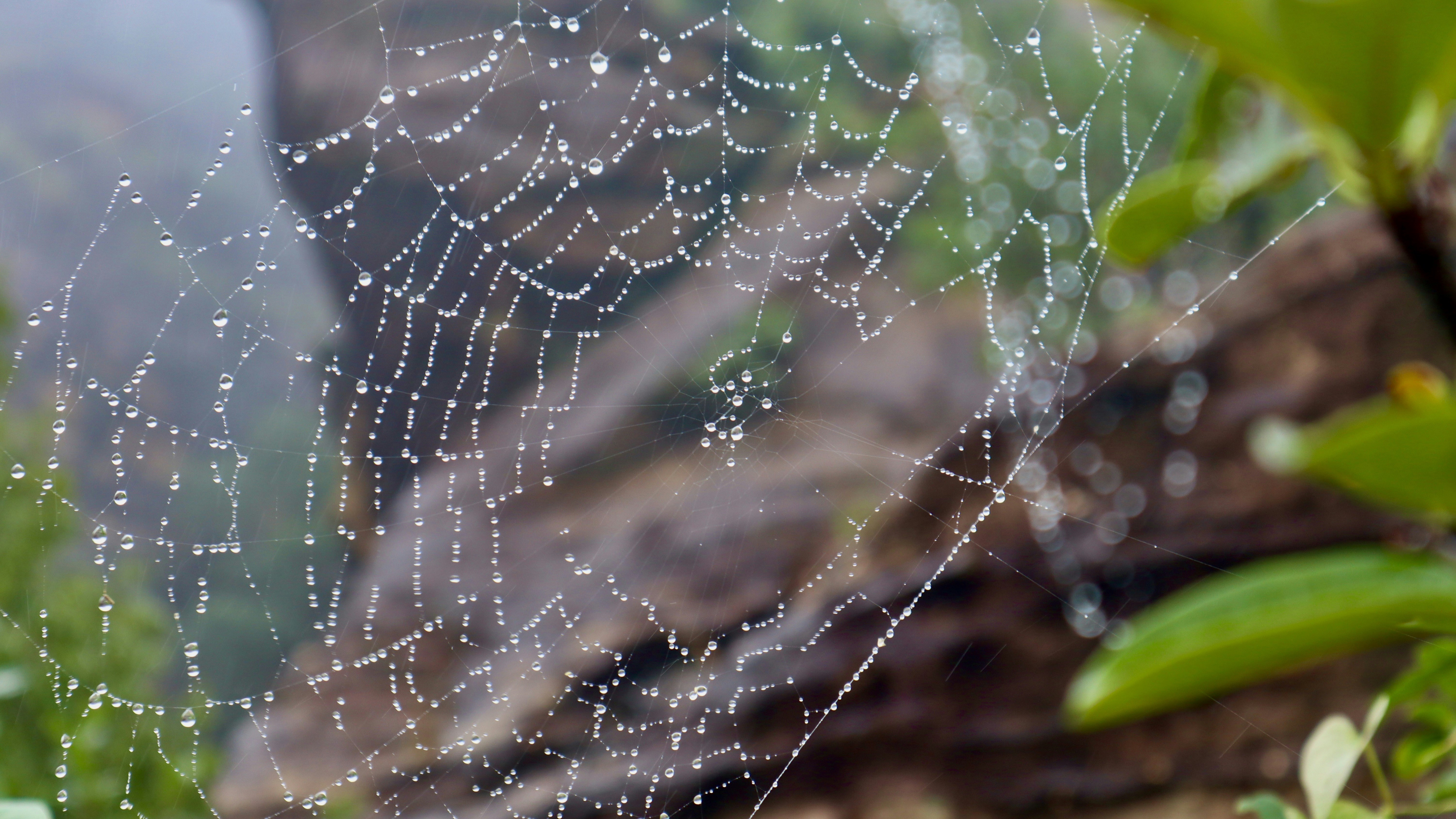 Photo by vineet_pathak